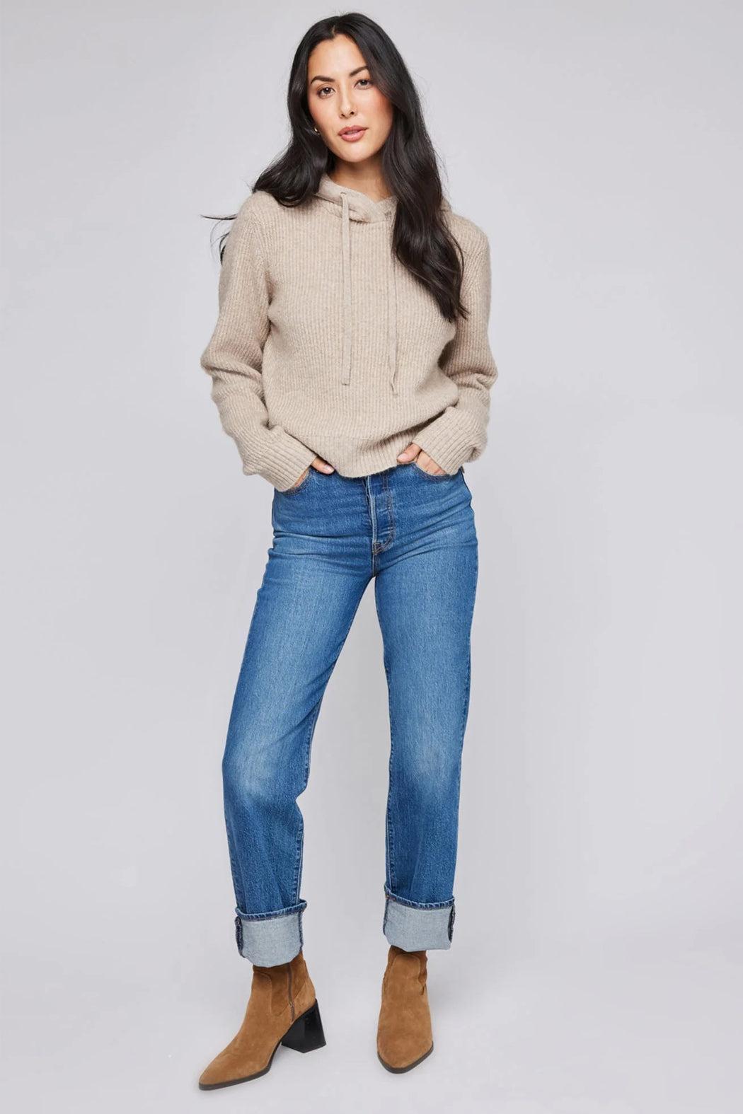 Alanis Hooded Sweater Product Image