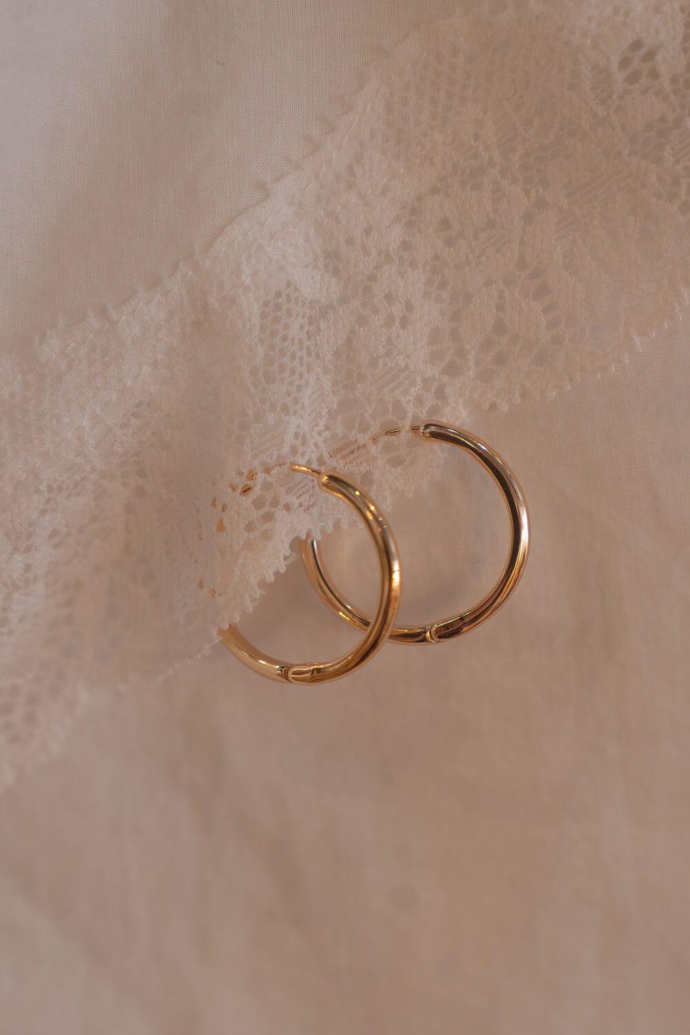 Hoop Earrings Product Image