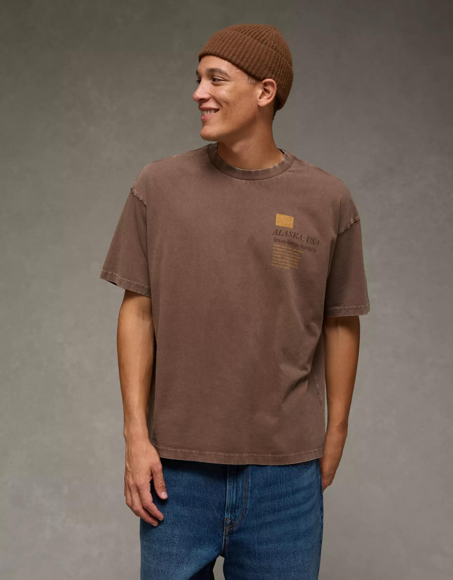 AE Boxy Destination Graphic T-Shirt Product Image