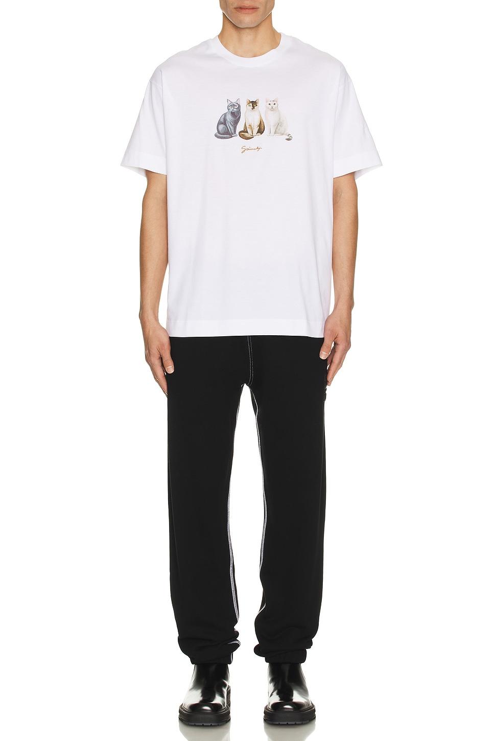 Regular Fit Tee Product Image