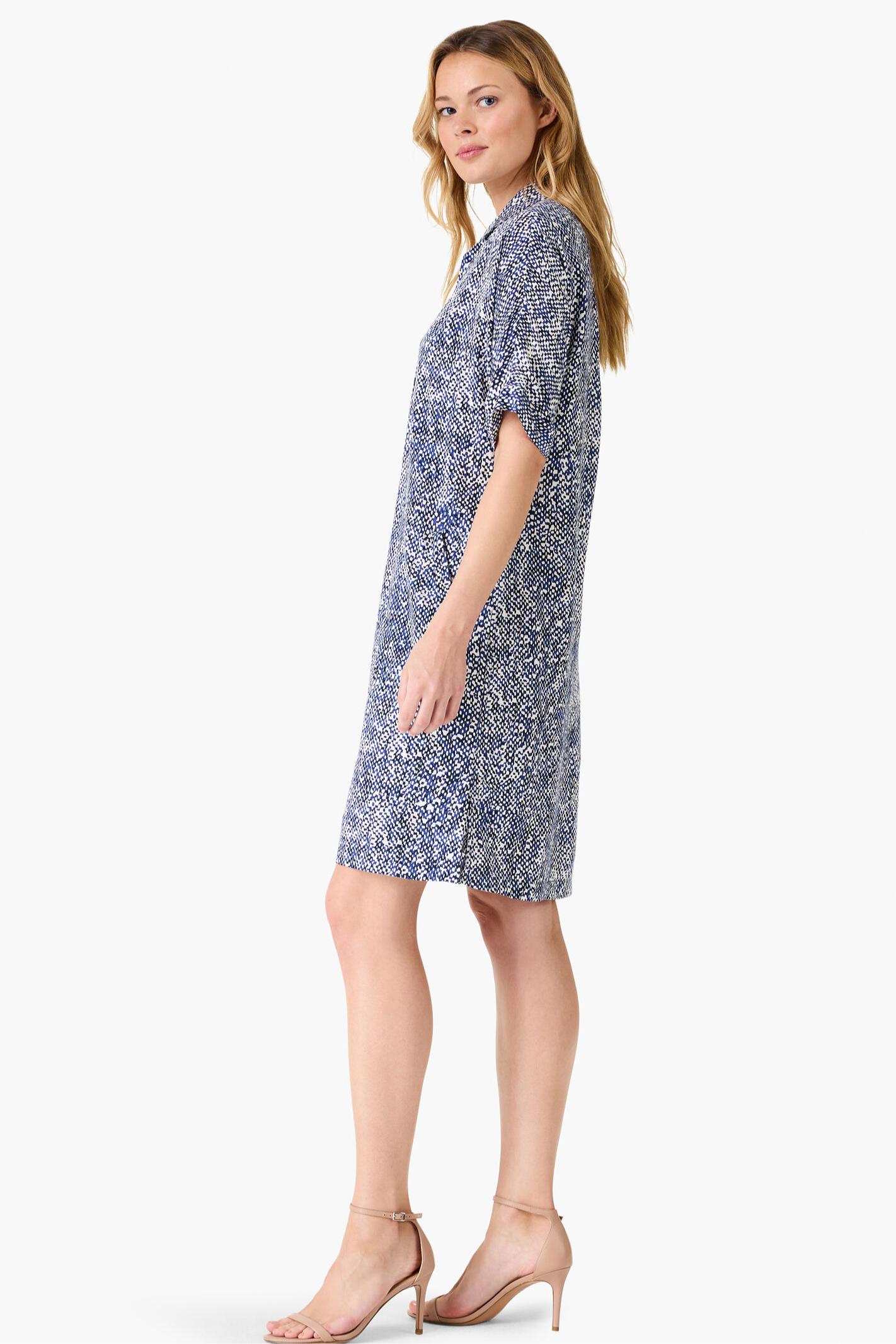 Dashing Dot Devon Dress- Indigo Multi Product Image