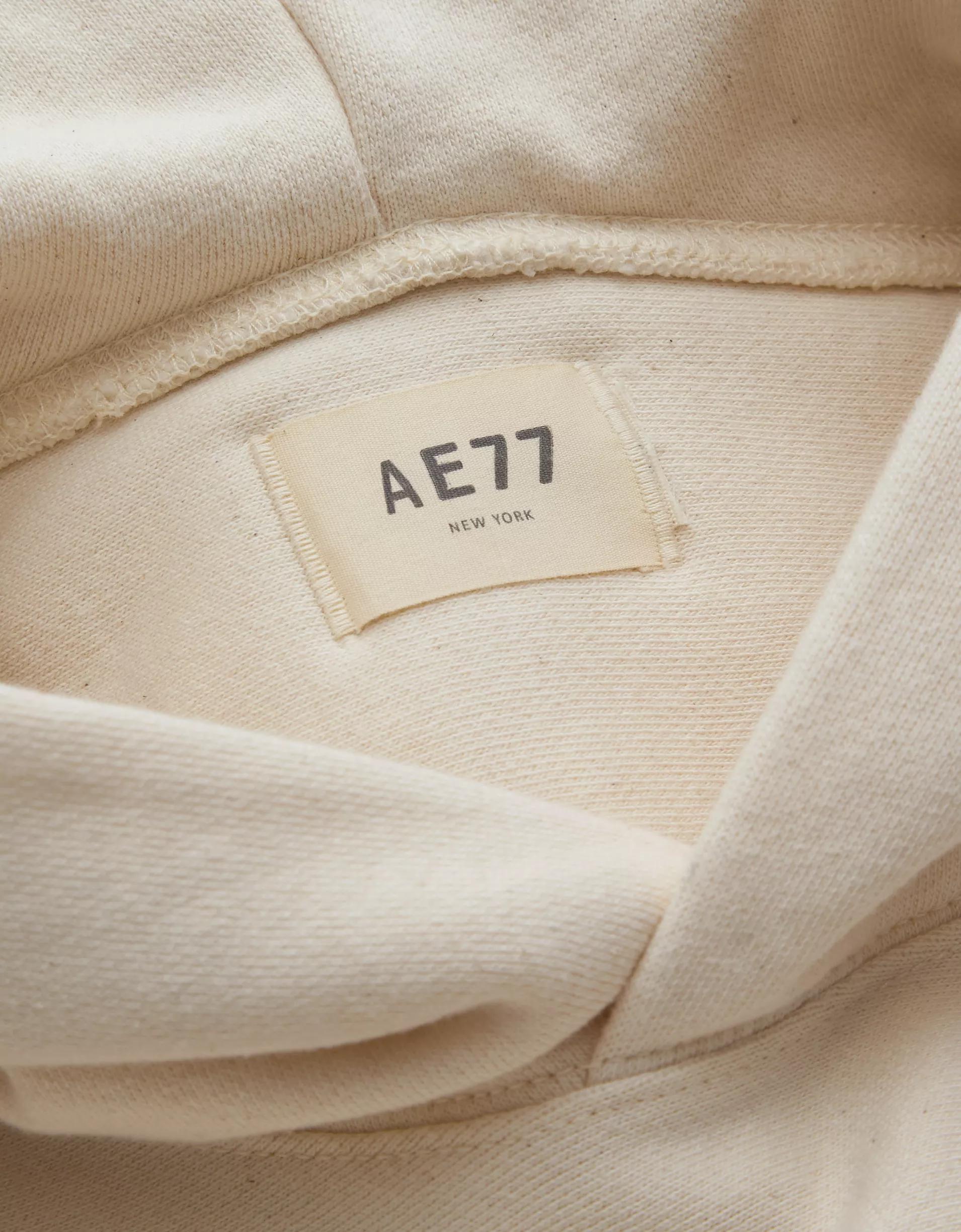 AE77 Premium Fleece Hoodie Product Image