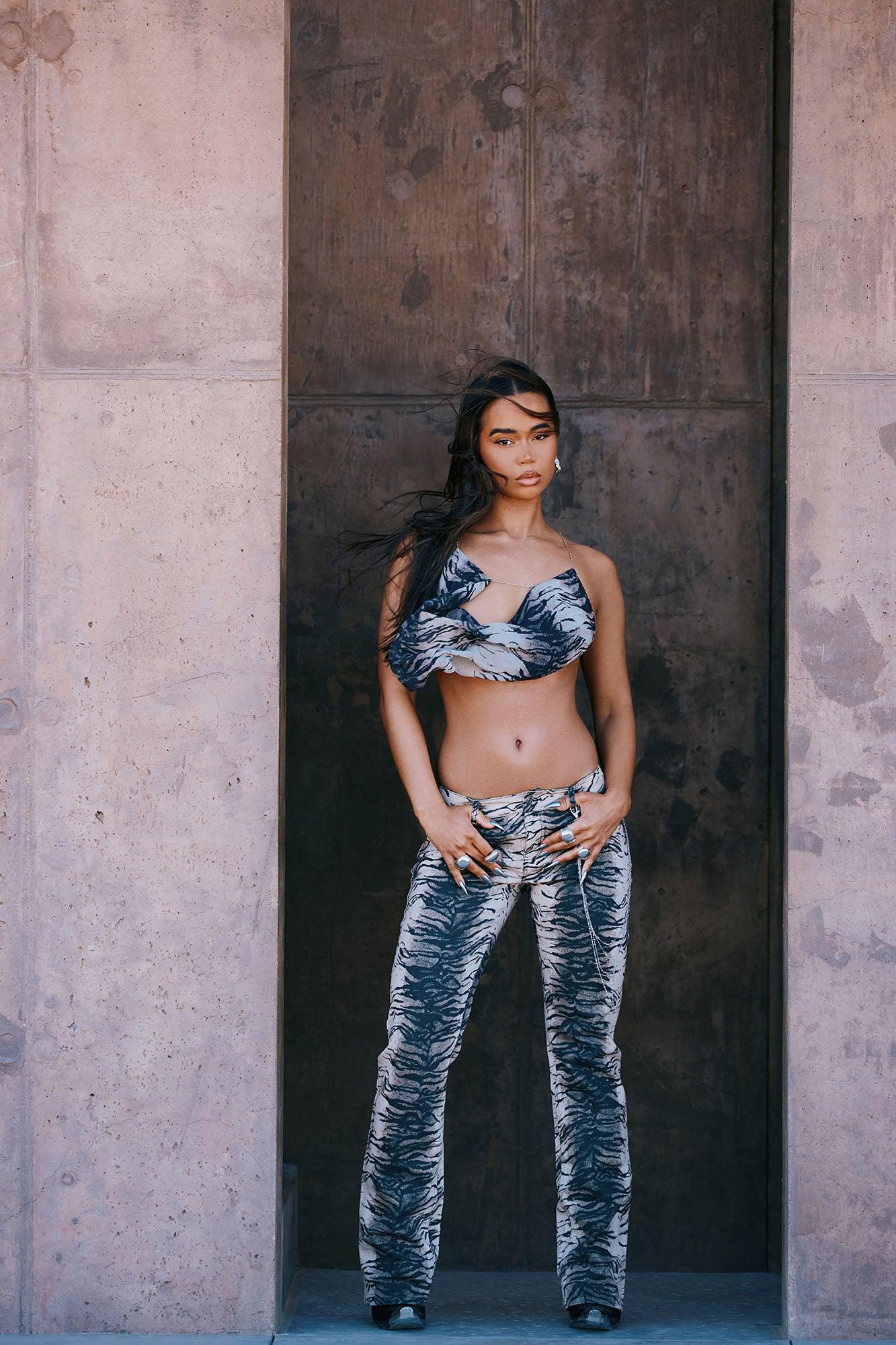 Zoe Zebra Pant Set - Brown/combo Product Image