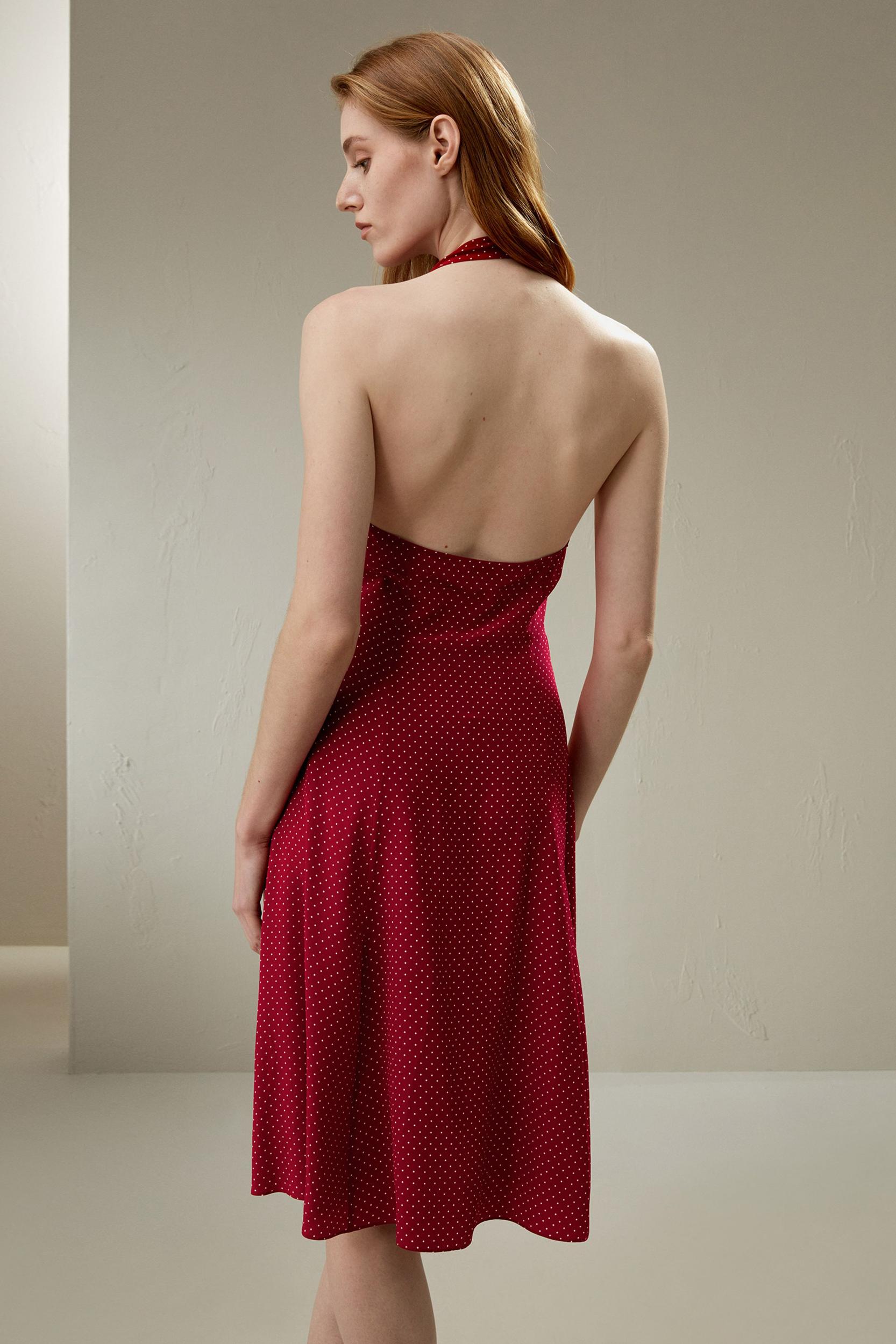 Polka Dot Halter Neck Silk Dress Product Image