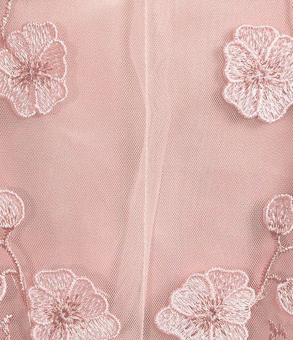 Alex Marie Elise Embroidered Mesh Floral Applique Sleeveless Dress Product Image