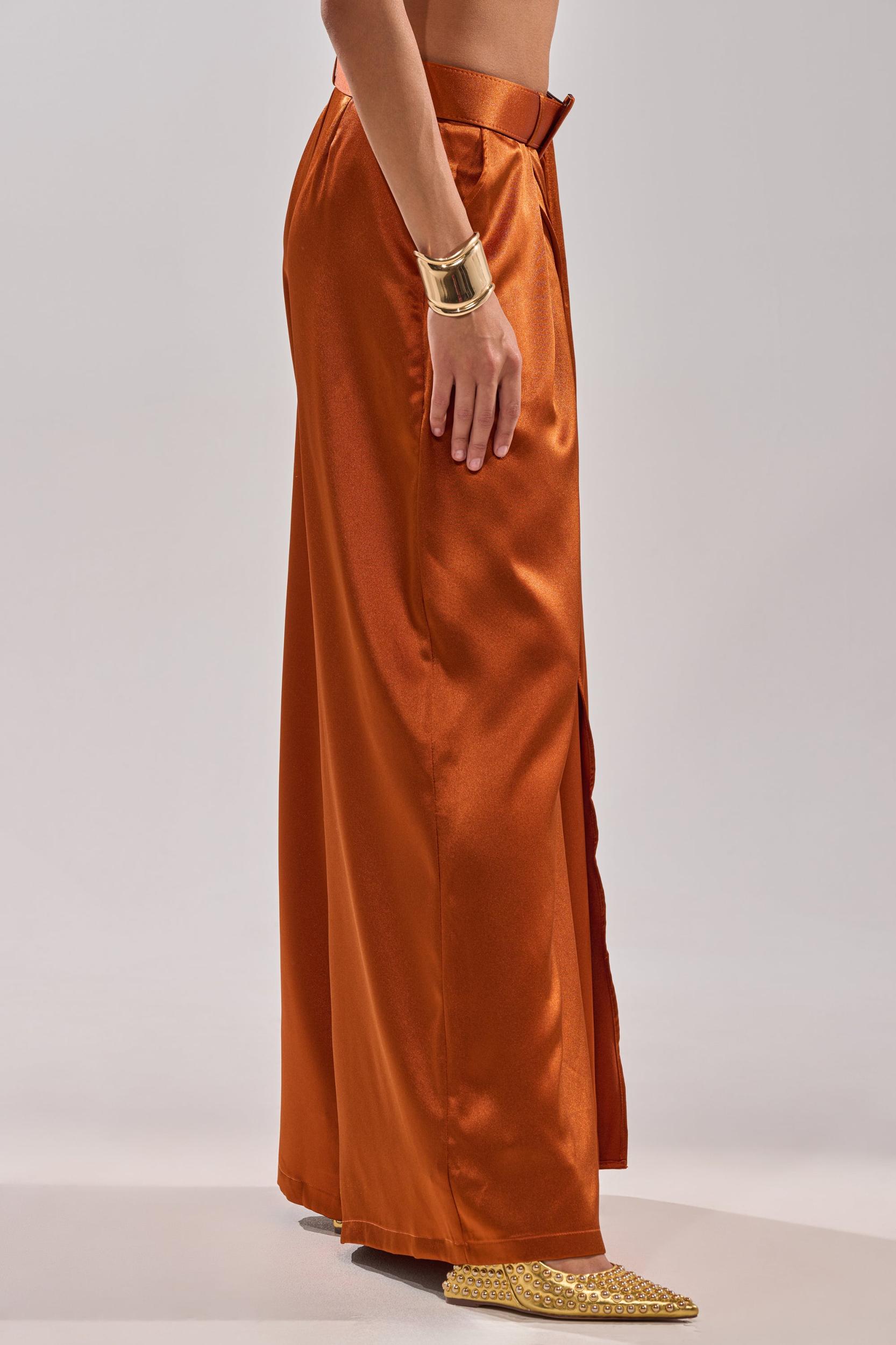 ALL WE EVER KNEW TROUSER Product Image