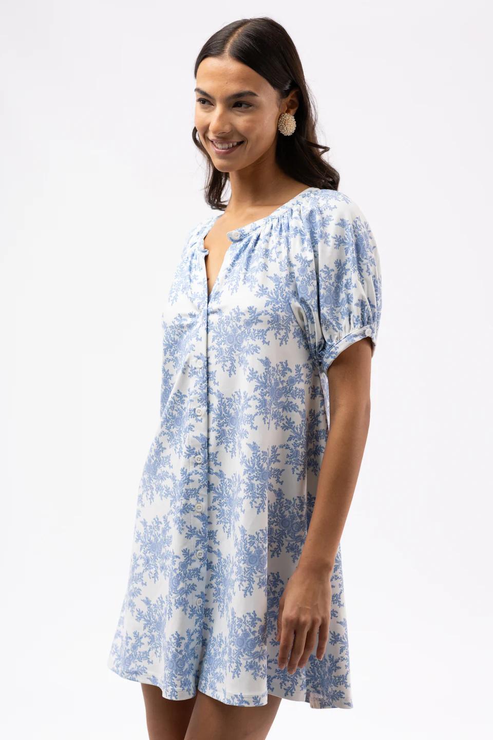 The Posie Dress Product Image