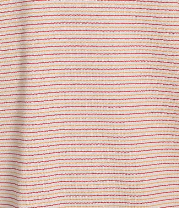 Roundtree & Yorke Performance Short Sleeve Mini Stripe Polo Shirt Product Image