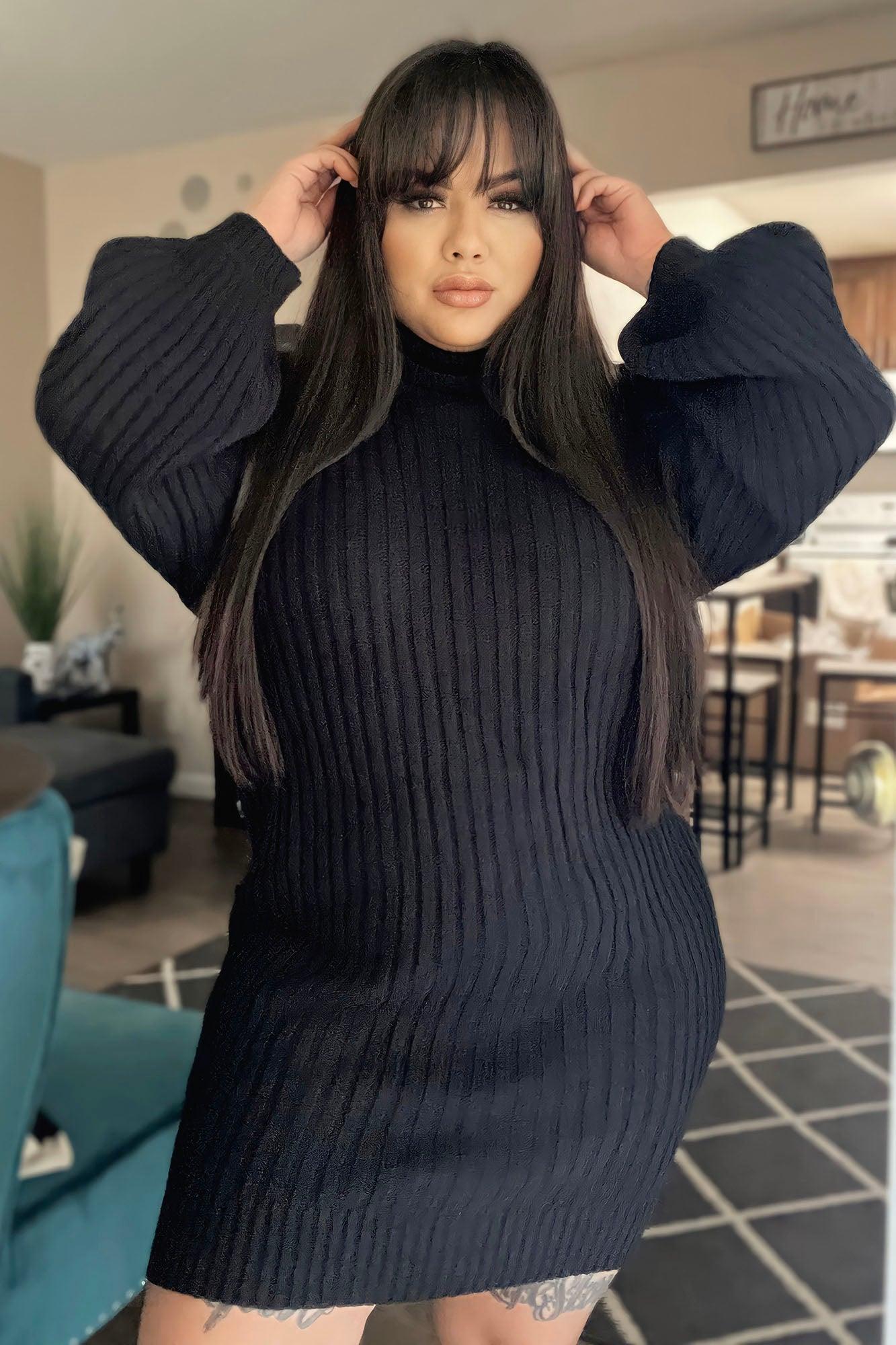 Too Cozy Turtle Neck Sweater Dress - Black Female Product Image