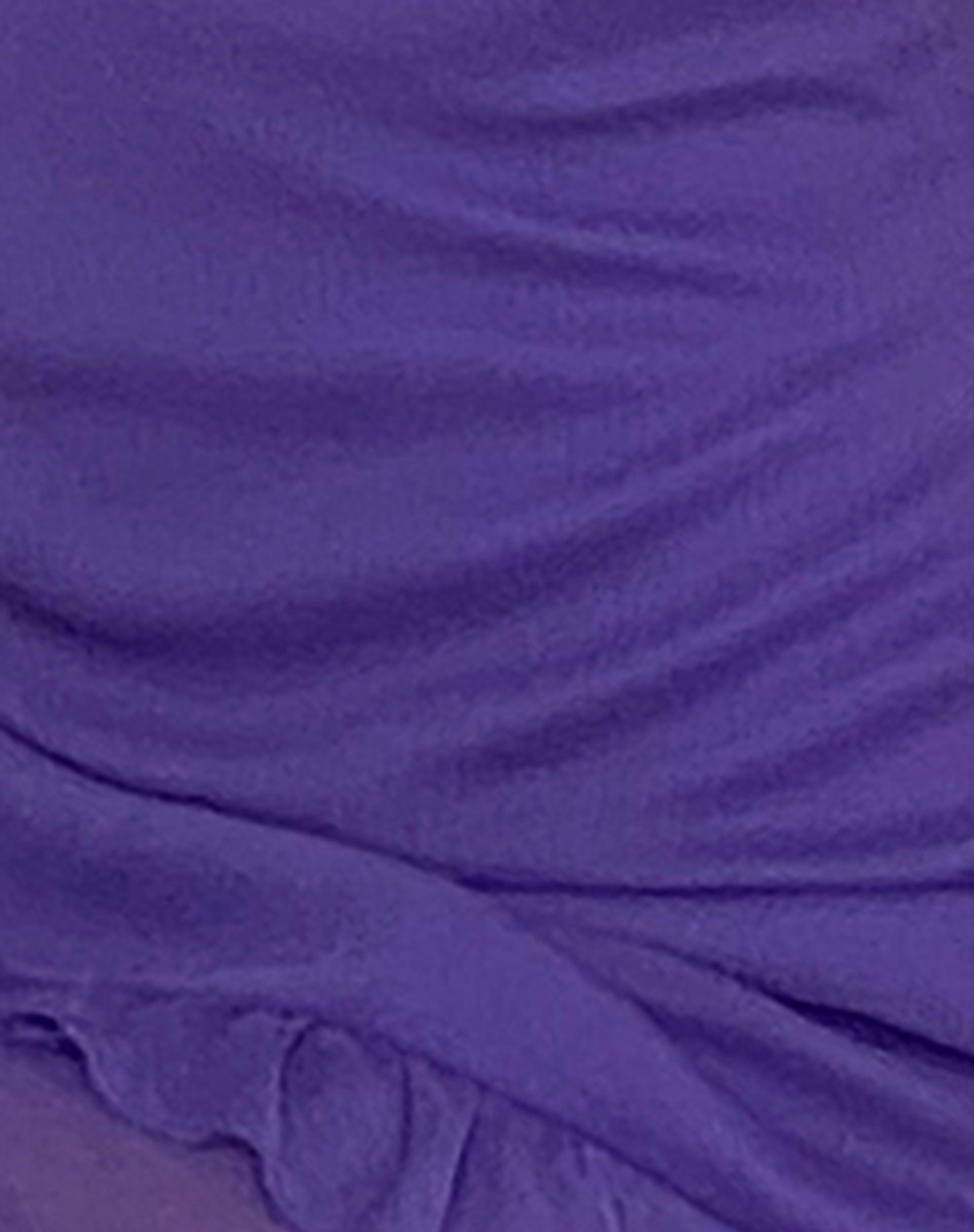 Isobel Rosette Ruffle Mini Dress in Purple Chiffon Female Product Image