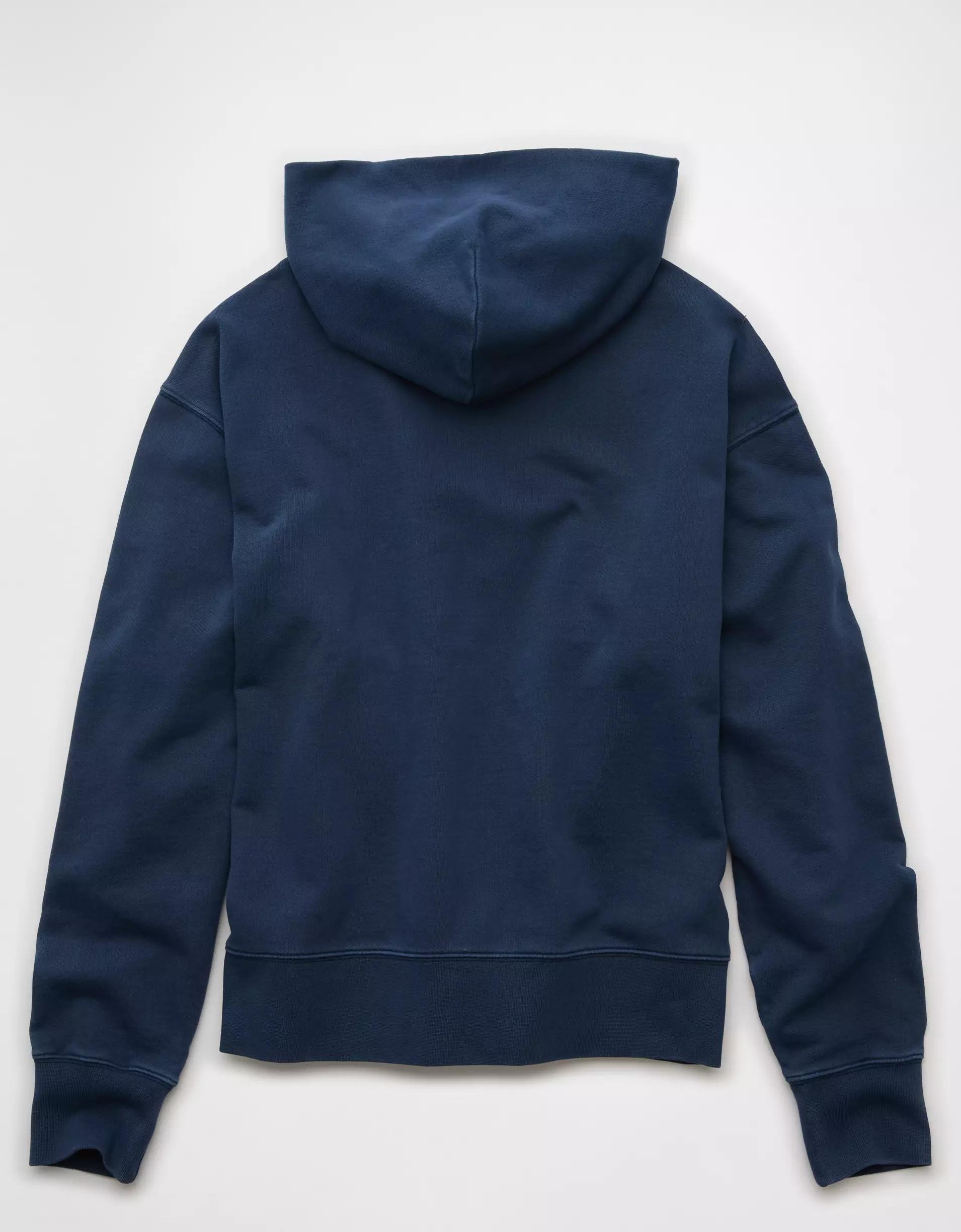 AE Destination Graphic Hoodie Product Image