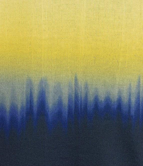 Allison Daley Plus Size Embellished Ombre Print 3/4 Sleeve Crew Neck Knit Top Product Image