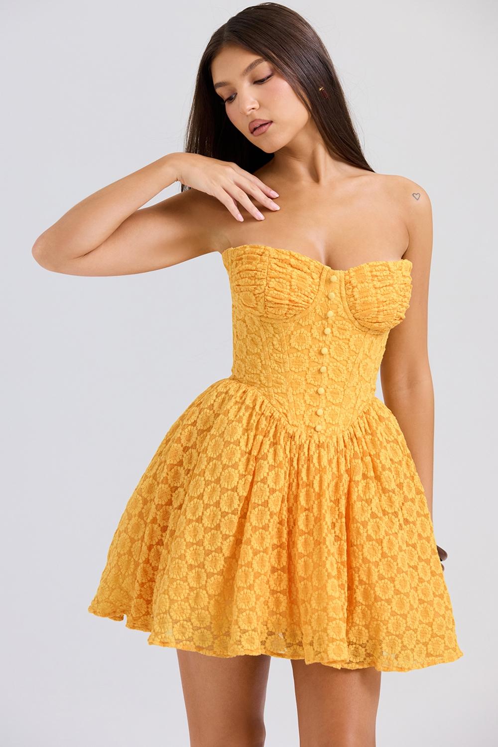 Carolina  apricot lace corset mini dress Product Image