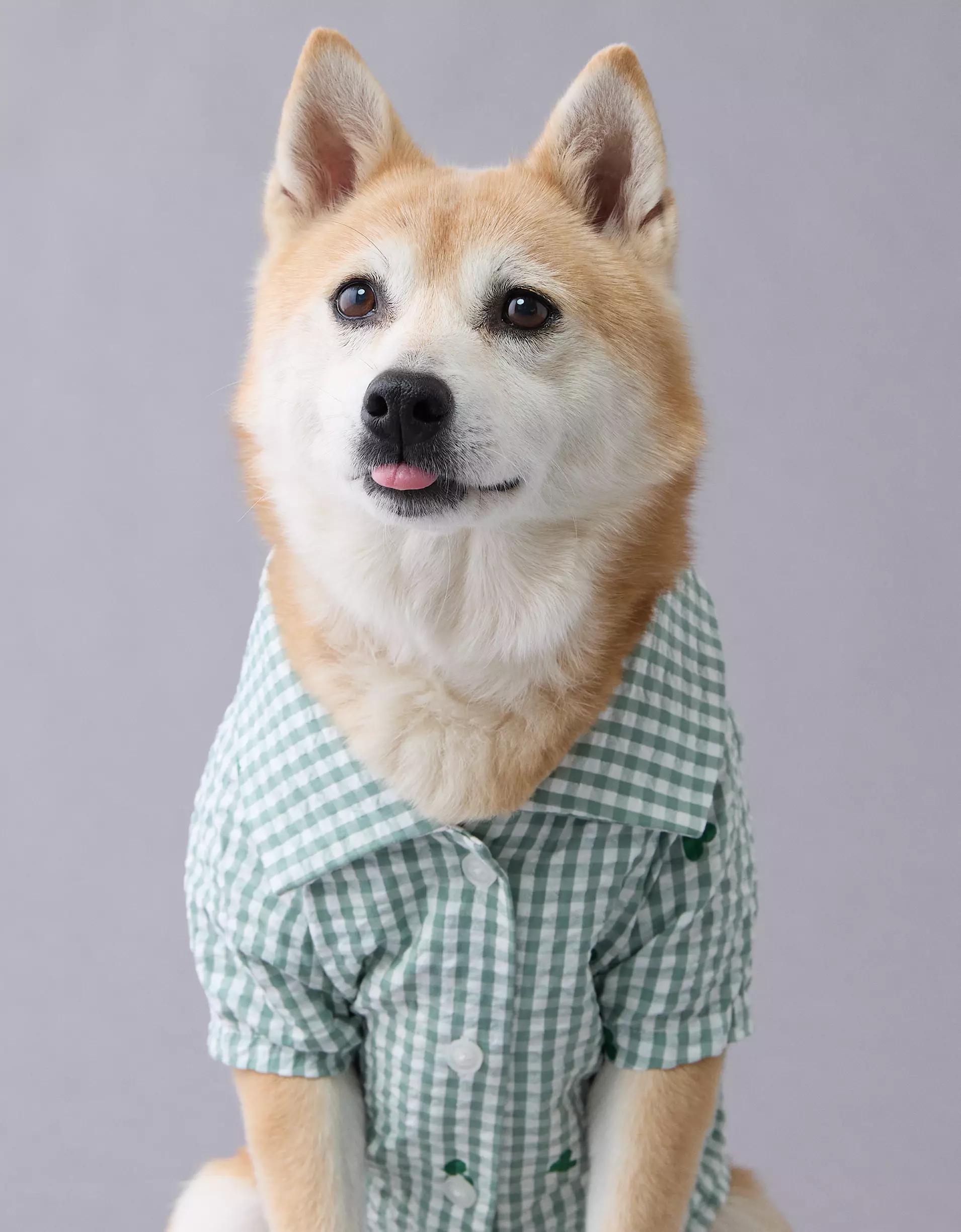 ABO Gingham Hearts Button-Up Dog Shirt Product Image