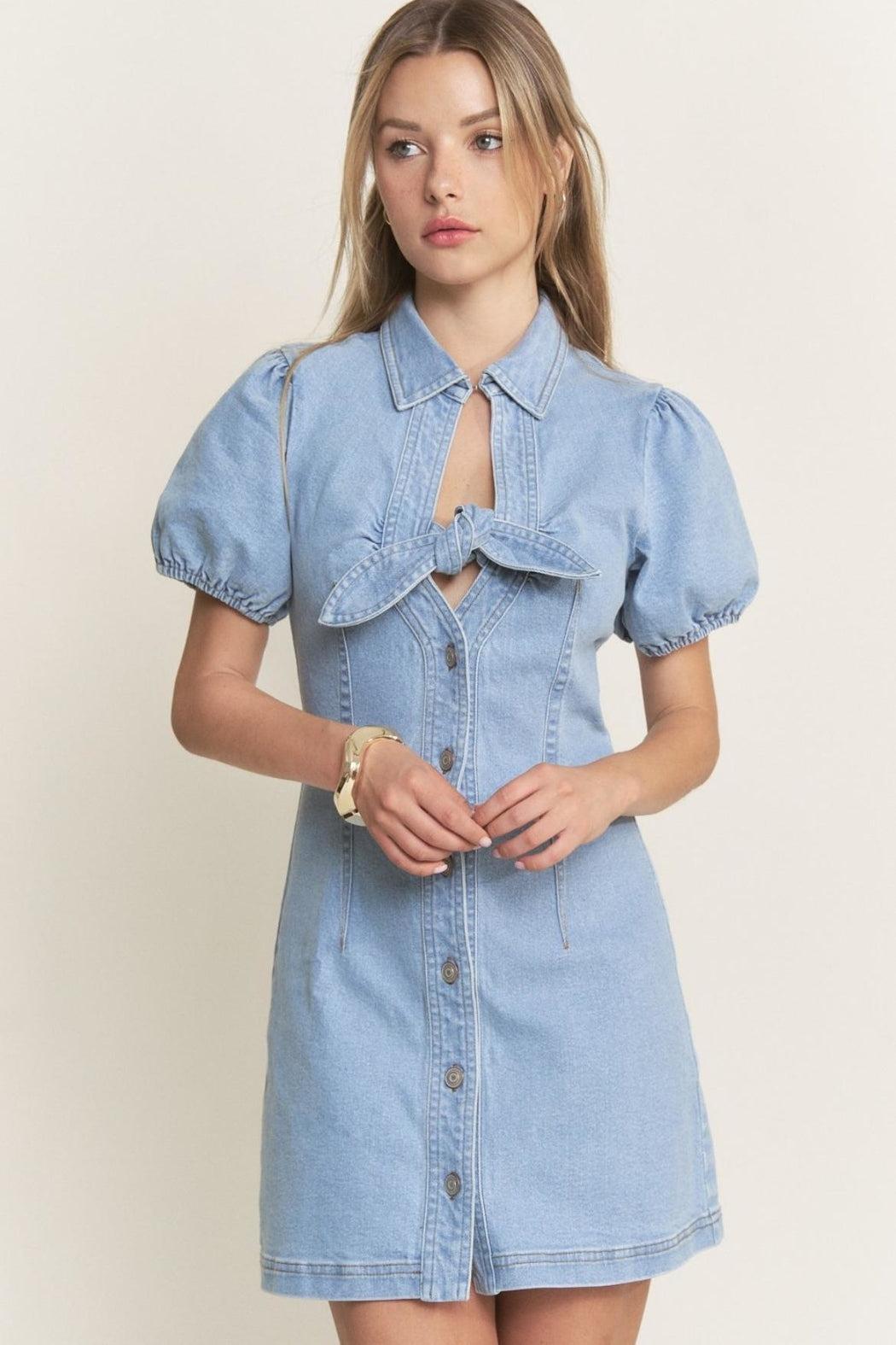 Denim Mini Dress Product Image