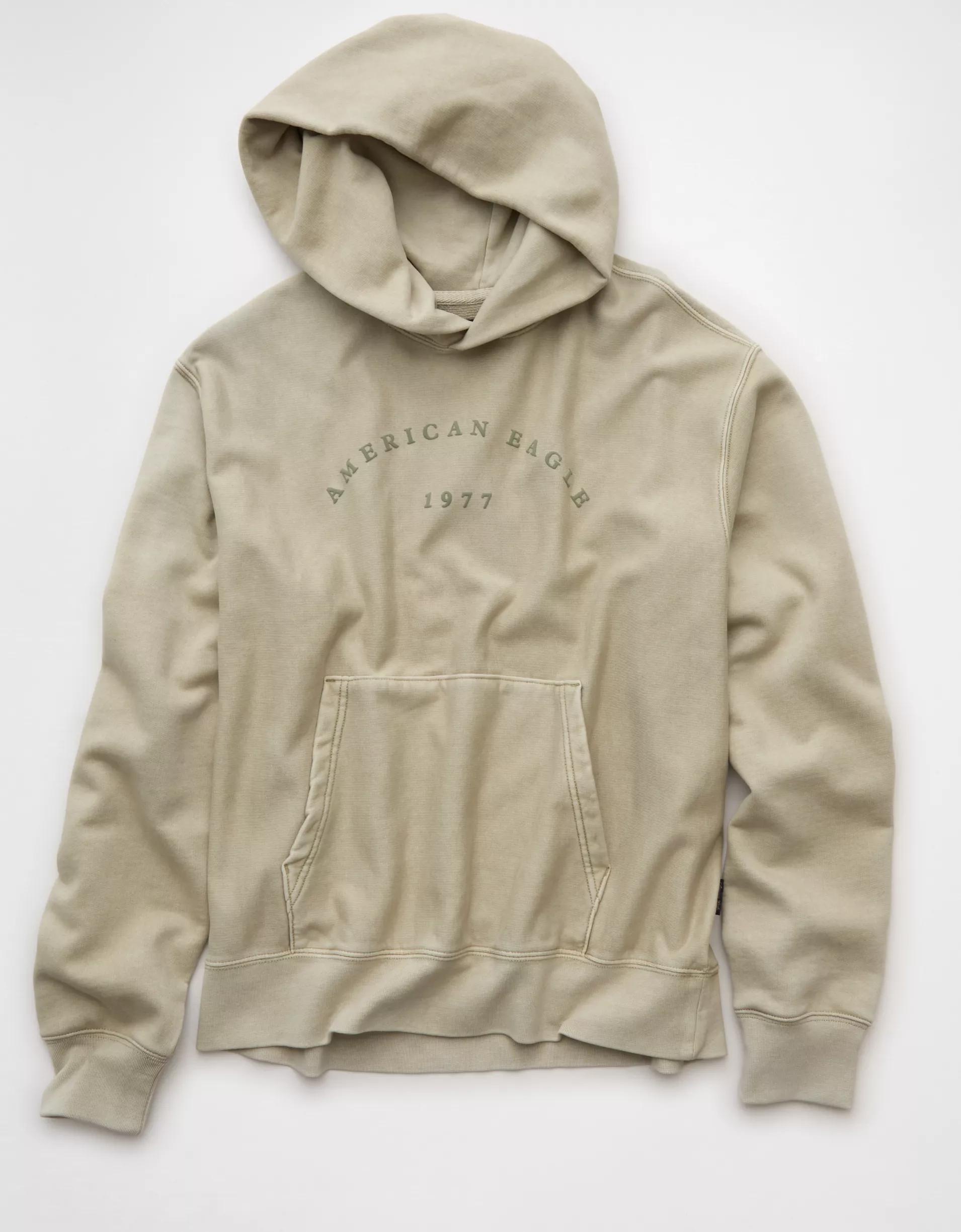 AE Laidback Luxe Heavyweight Graphic Hoodie Product Image
