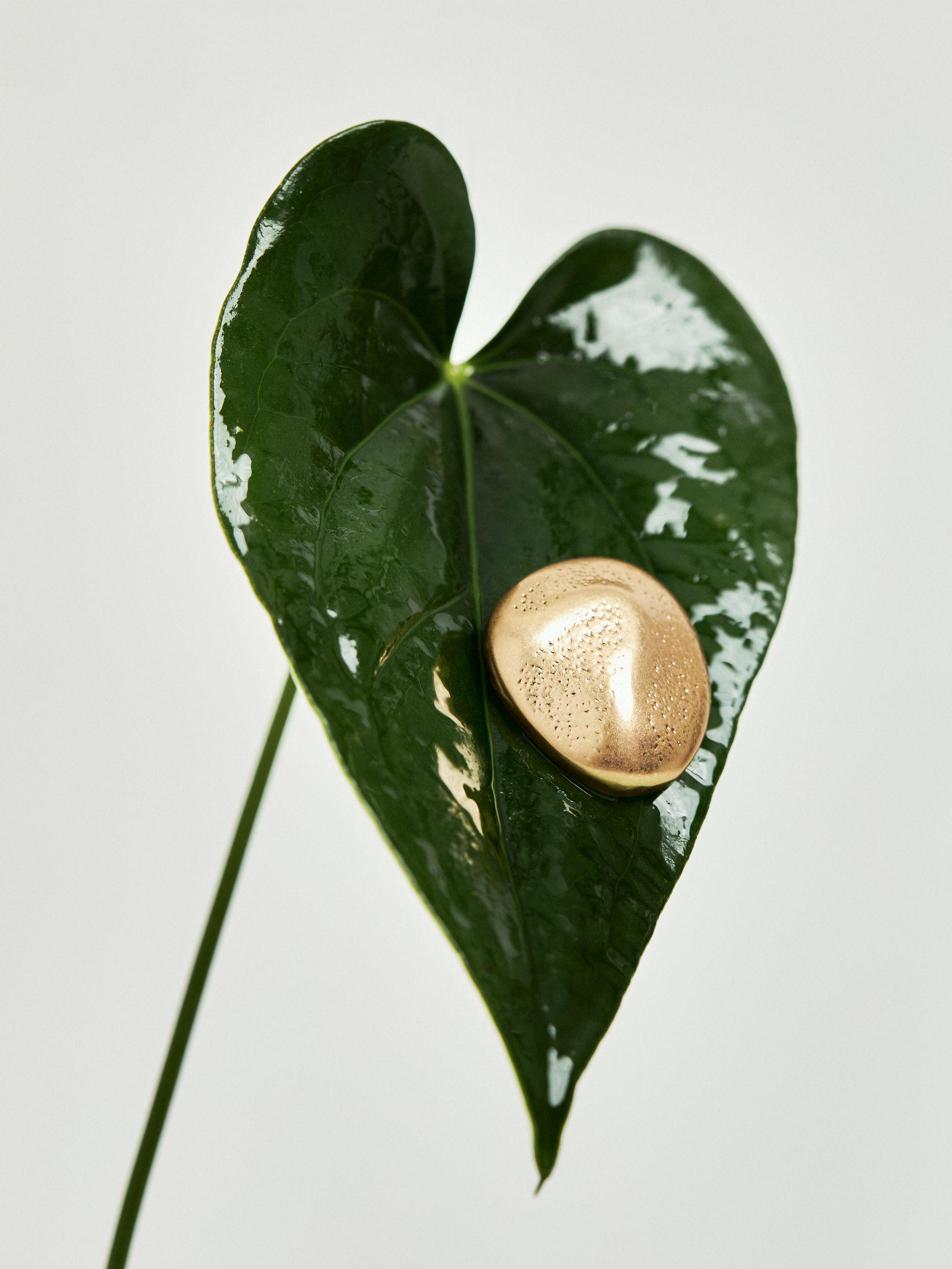 Tone Necklace in Gold Product Image