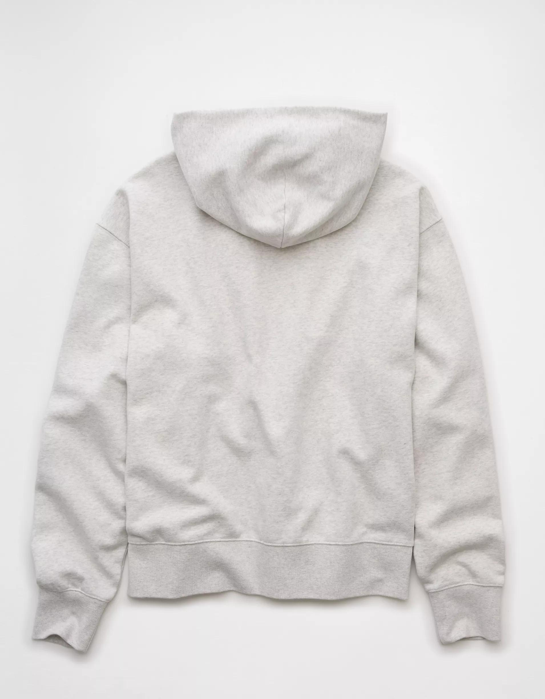 AE Laidback Luxe Heavyweight Logo Hoodie Product Image