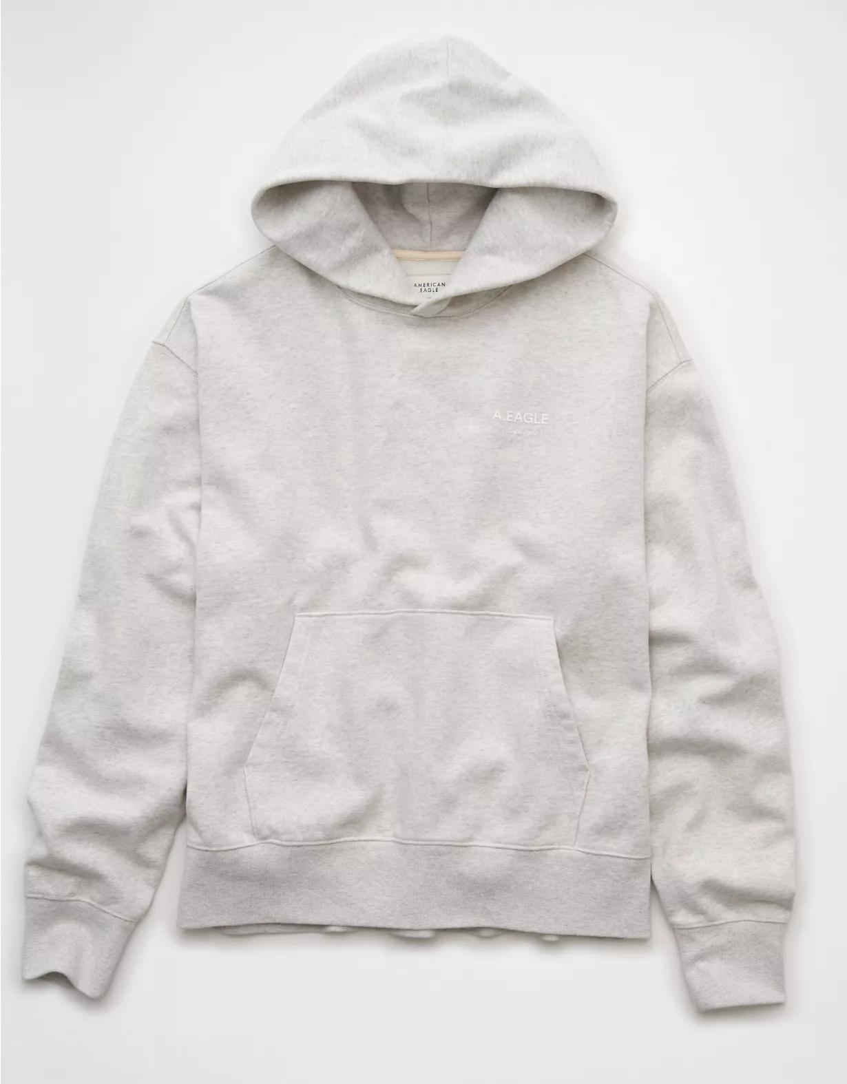 AE Laidback Luxe Heavyweight Logo Hoodie Product Image