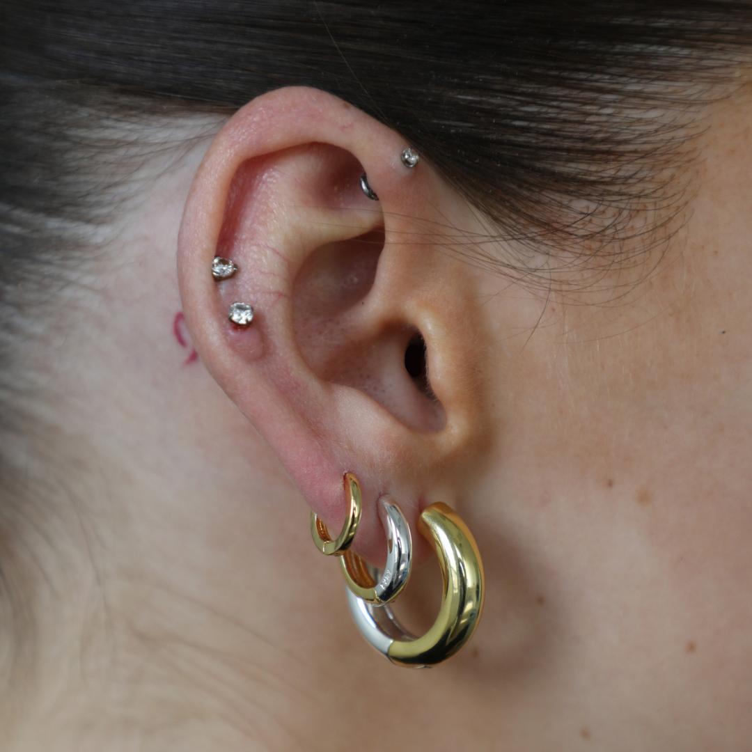 Two Tone Earrings Product Image