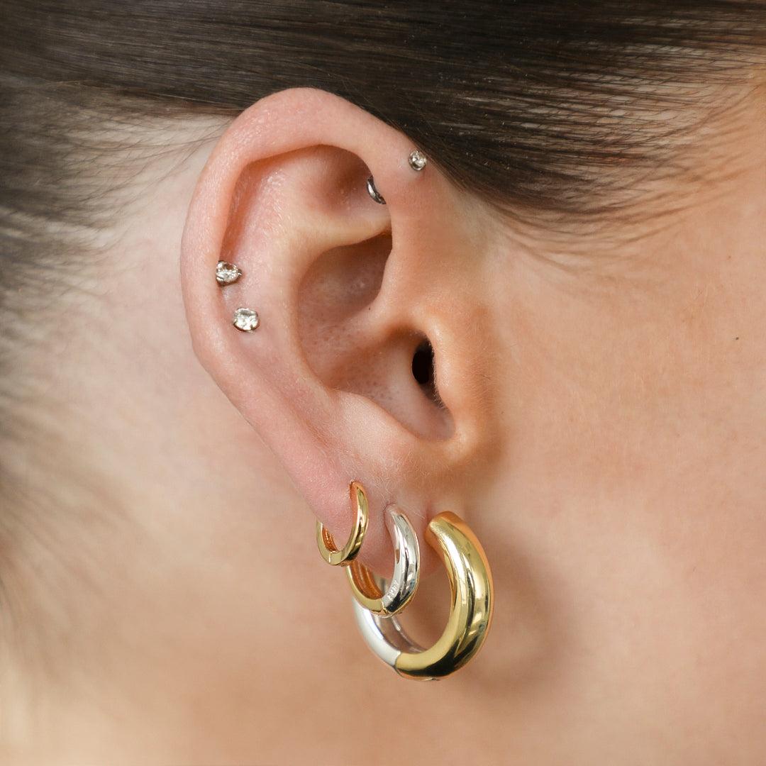 Two Tone Earrings Product Image