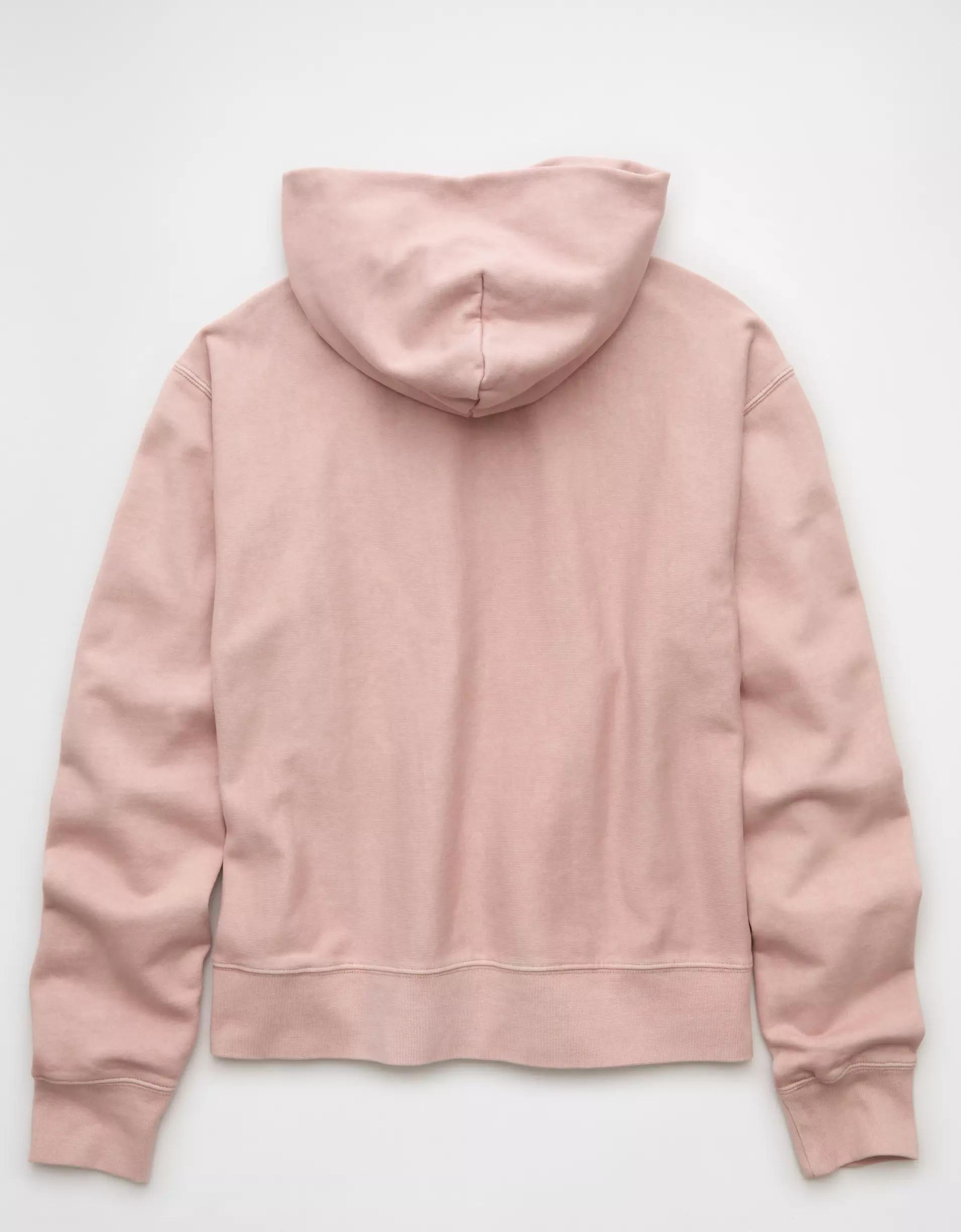 AE Laidback Luxe Heavyweight Hoodie Product Image
