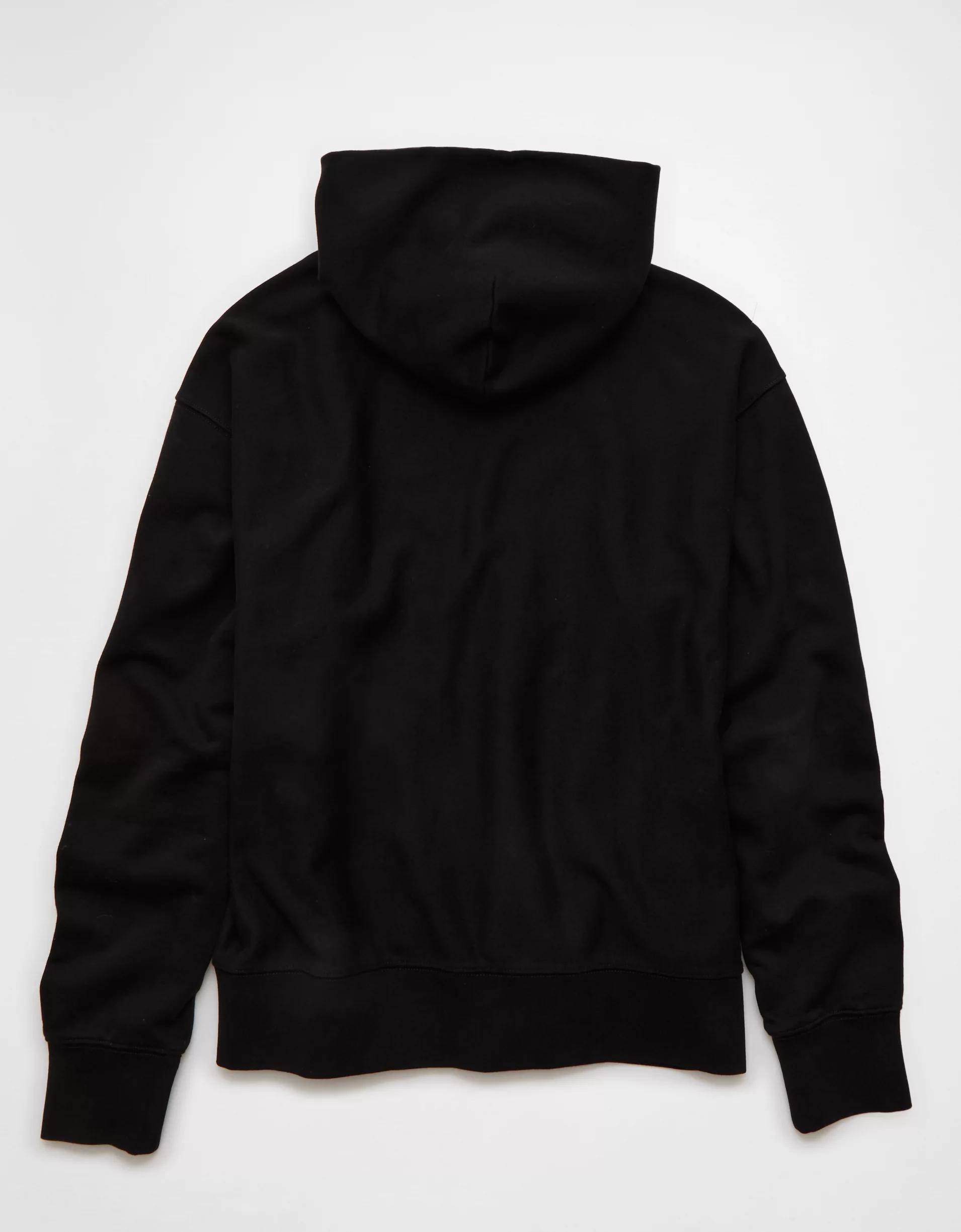 AE Laidback Luxe Heavyweight Hoodie Product Image
