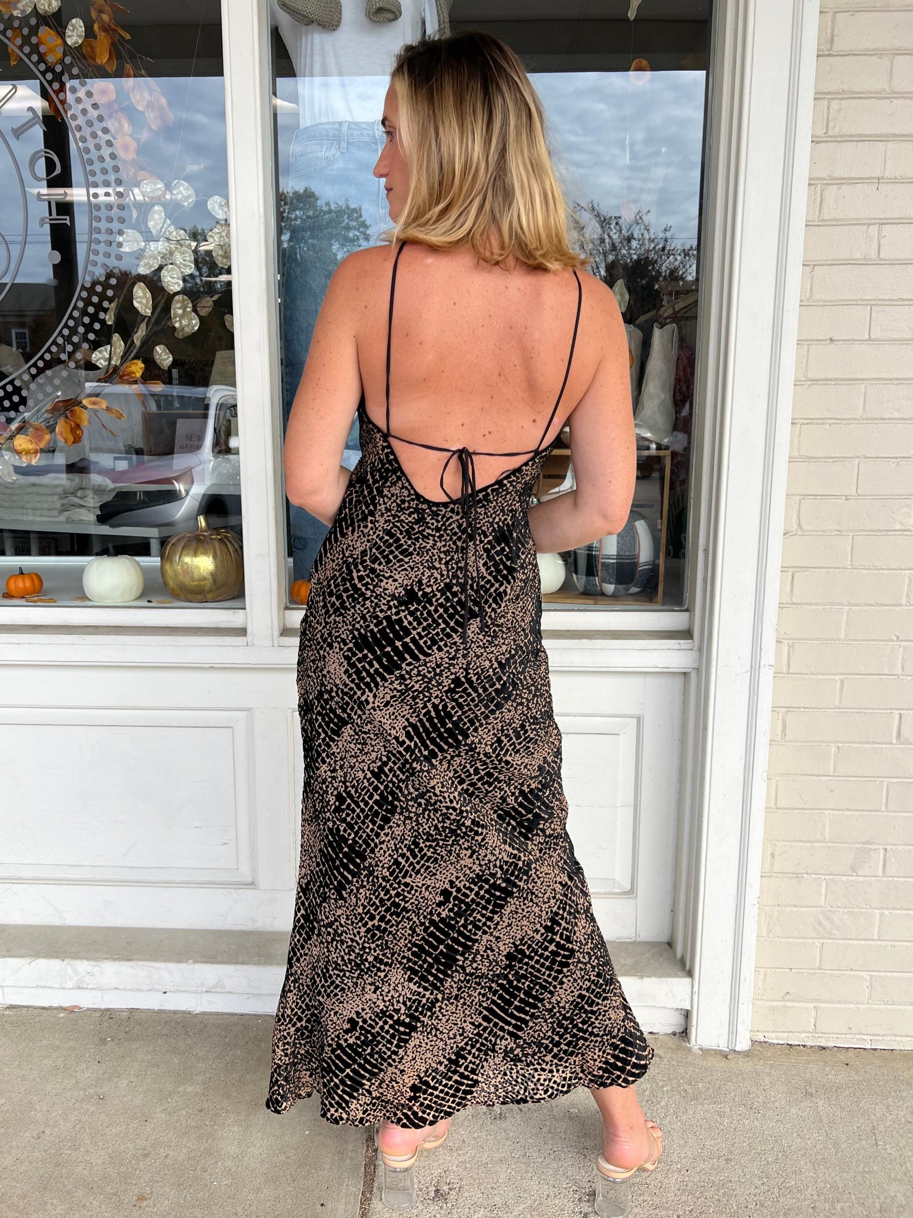 [ASTR The Label] Briotte Velvet Burnout Maxi Dress Product Image