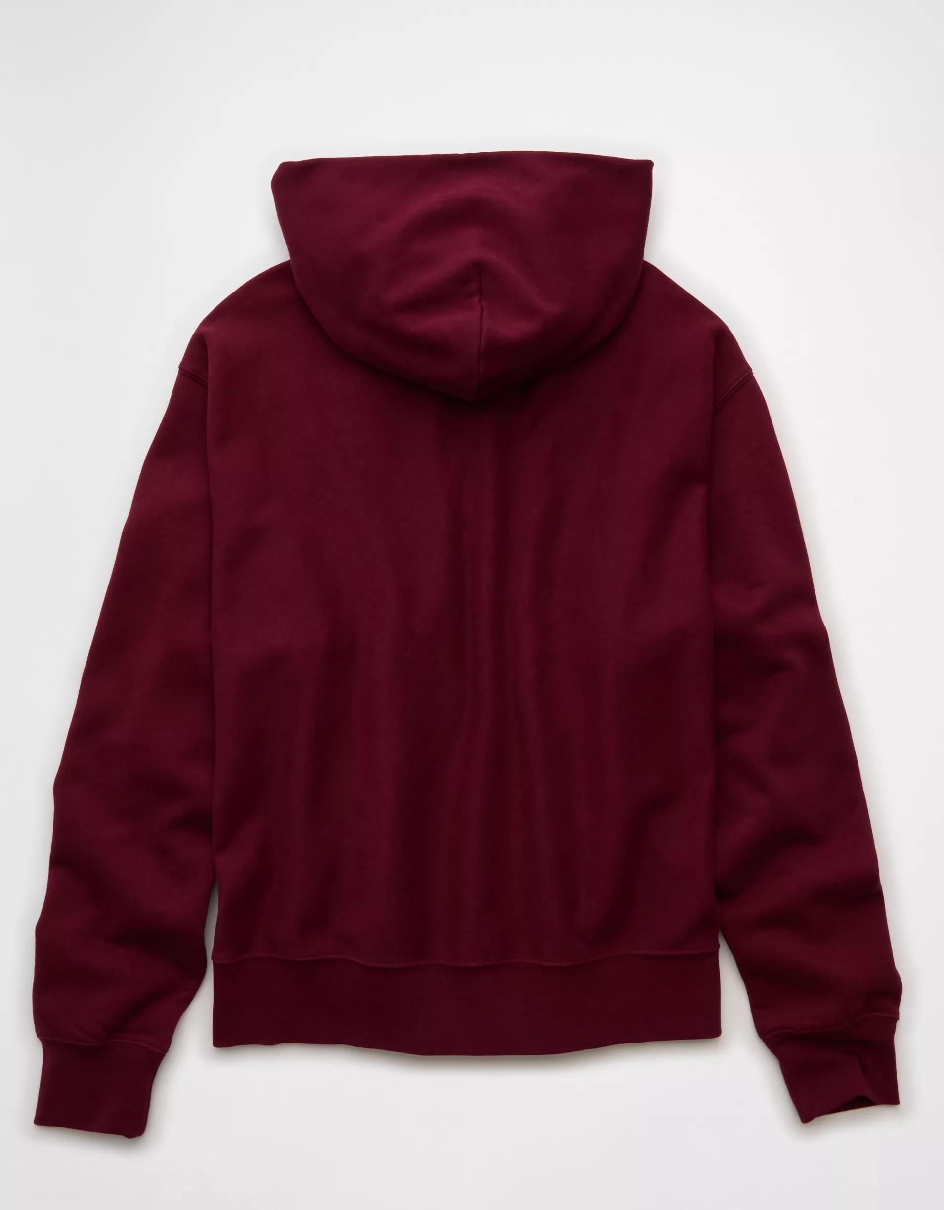 AE Laidback Luxe Heavyweight Graphic Hoodie Product Image