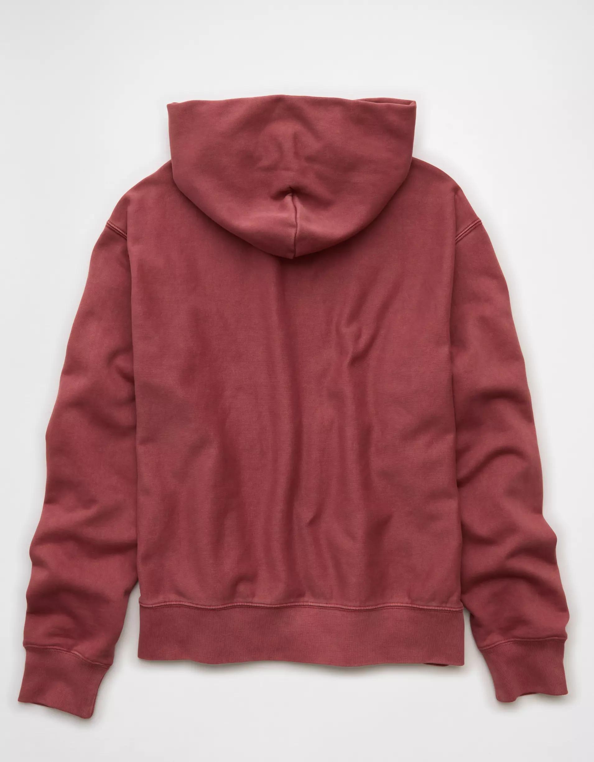 AE Laidback Luxe Heavyweight Hoodie Product Image