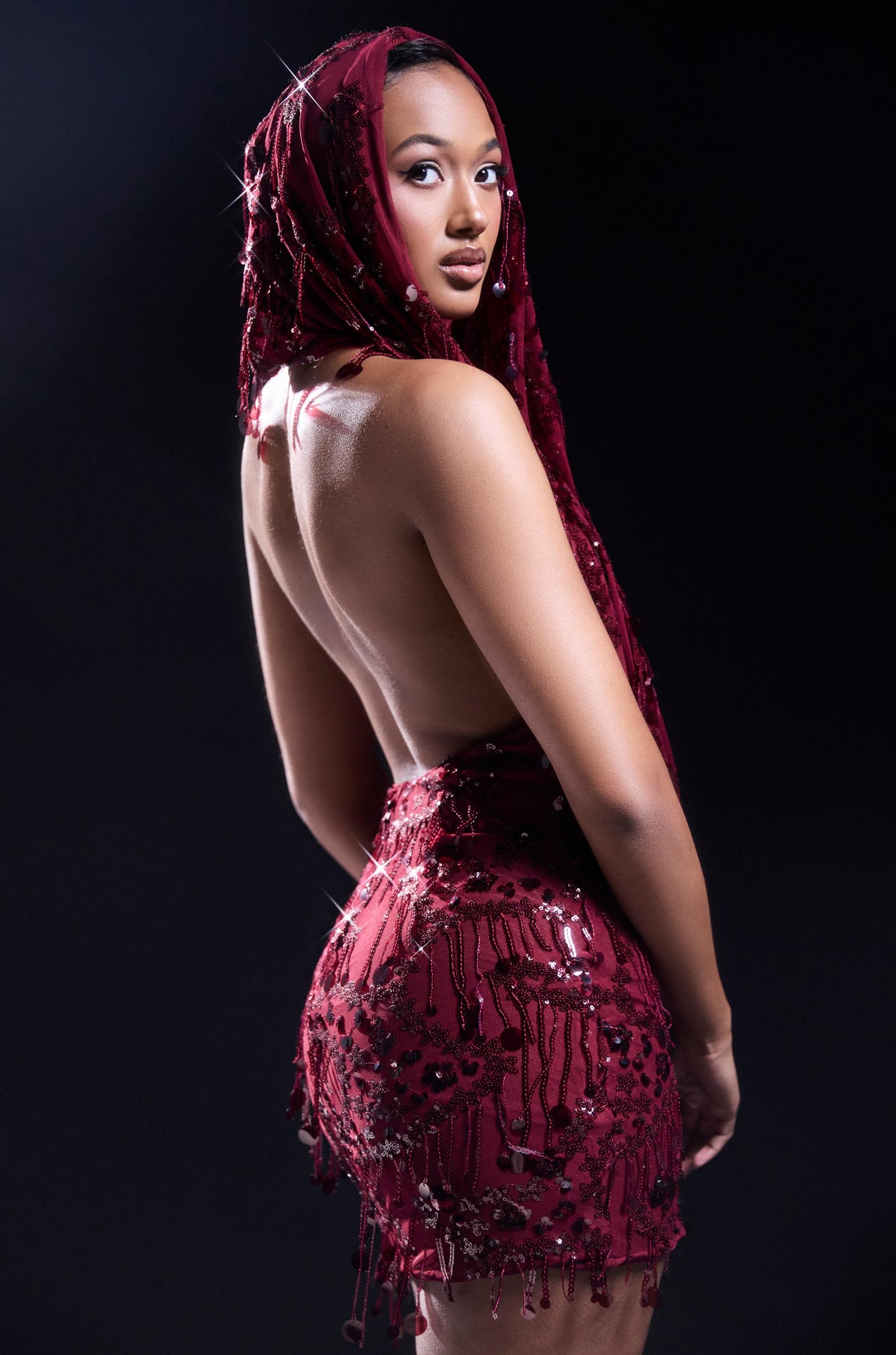 MOOD FOR THE NIGHT SEQUIN MINI DRESS Product Image