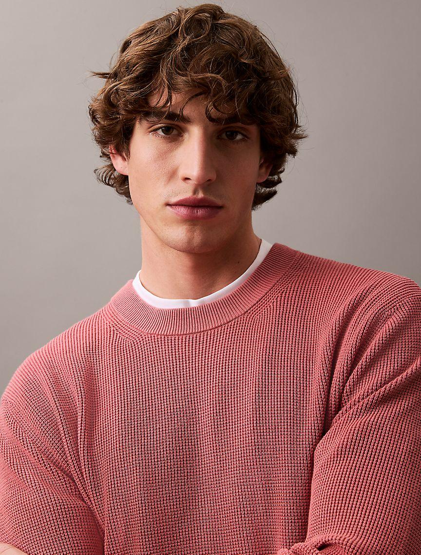 Smooth Cotton Waffle Henley Sweater Product Image