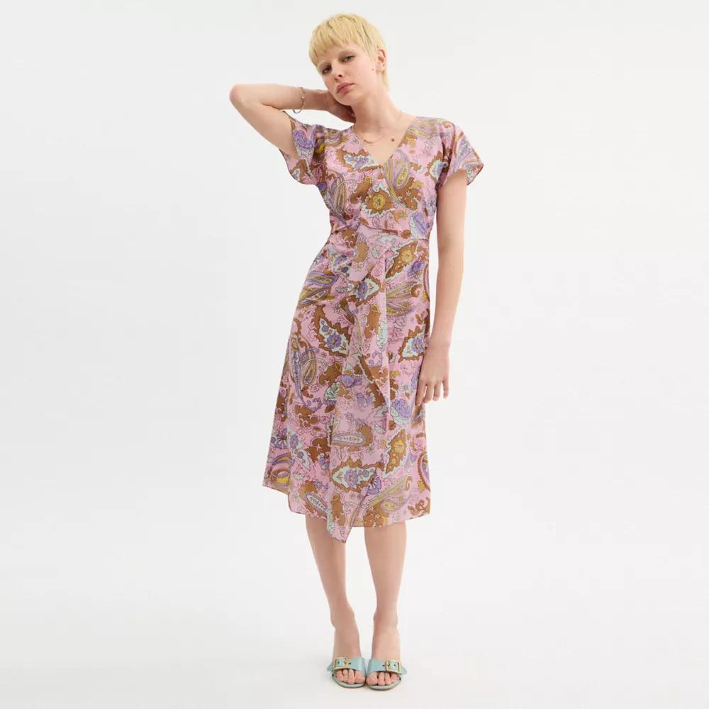 Paisley Dress Product Image