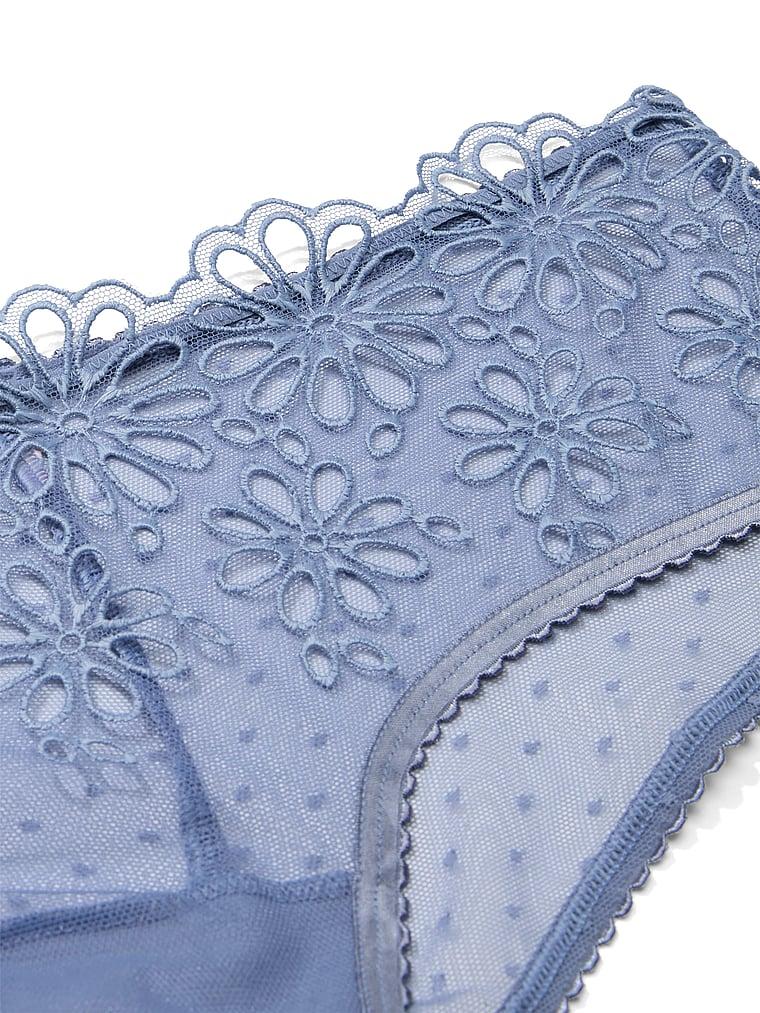 Eyelet Mesh Cheeky Panty Product Image