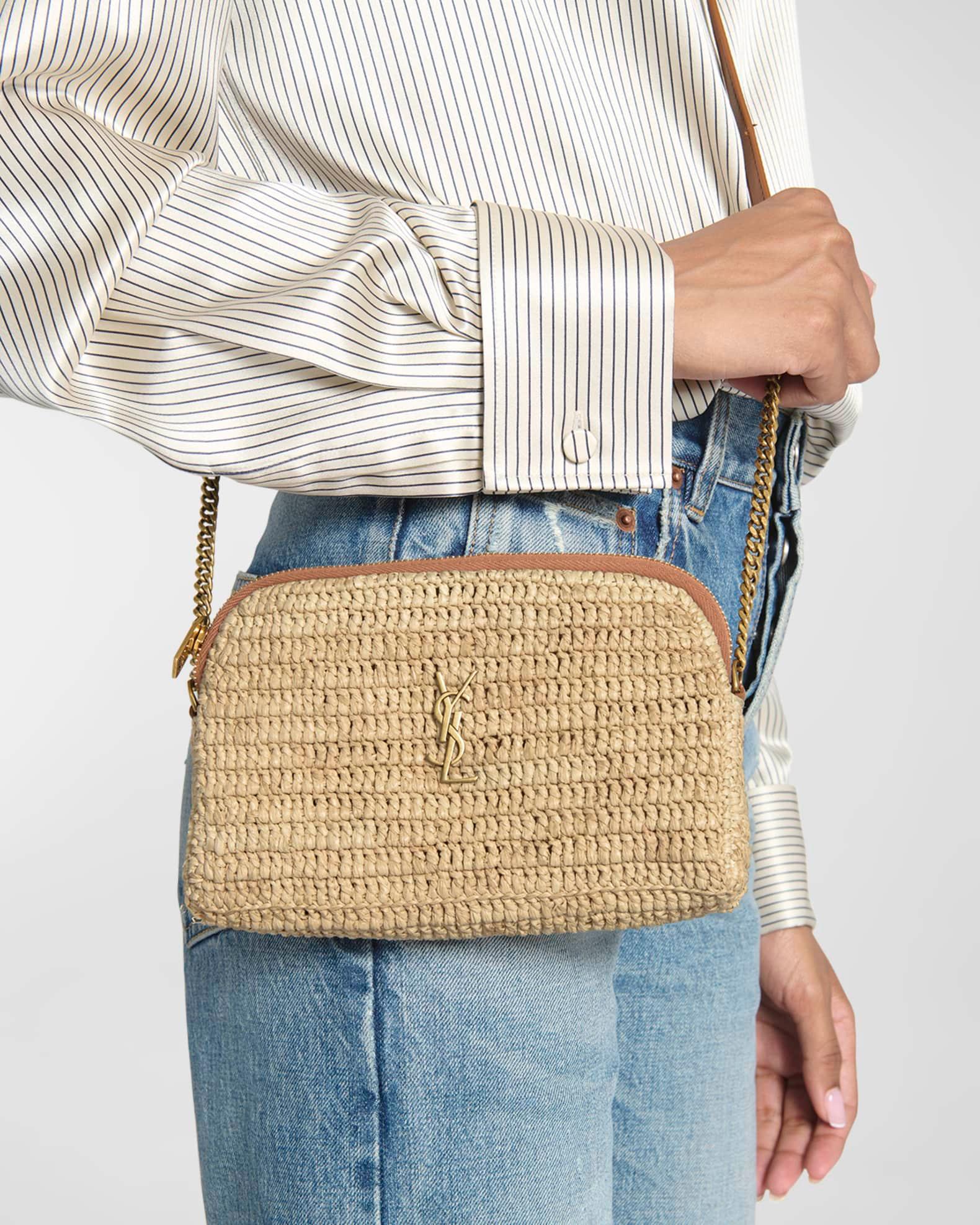 Gaby YSL Zip Pouch Crossbody Bag Product Image