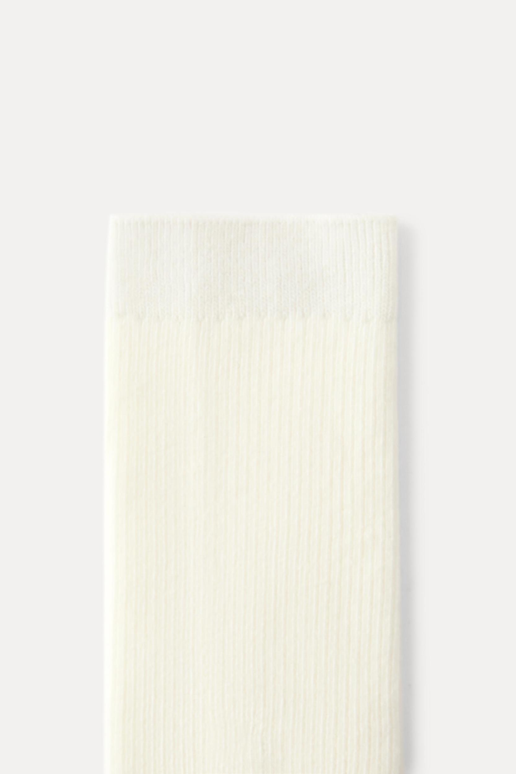 RIBBED COTTON SOCKS Product Image