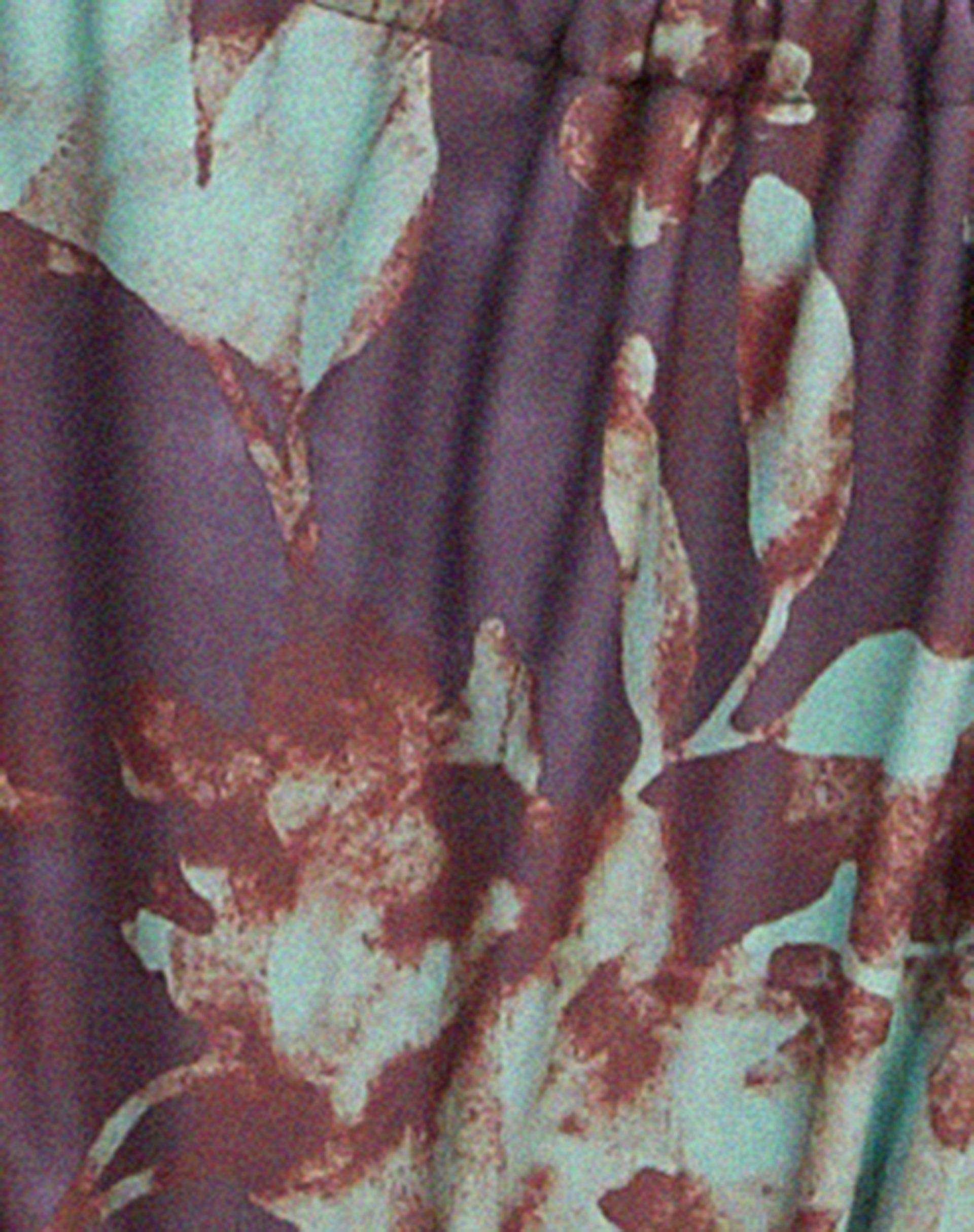 Leyna Bikini Bottom in Botanical Animal Brown Product Image