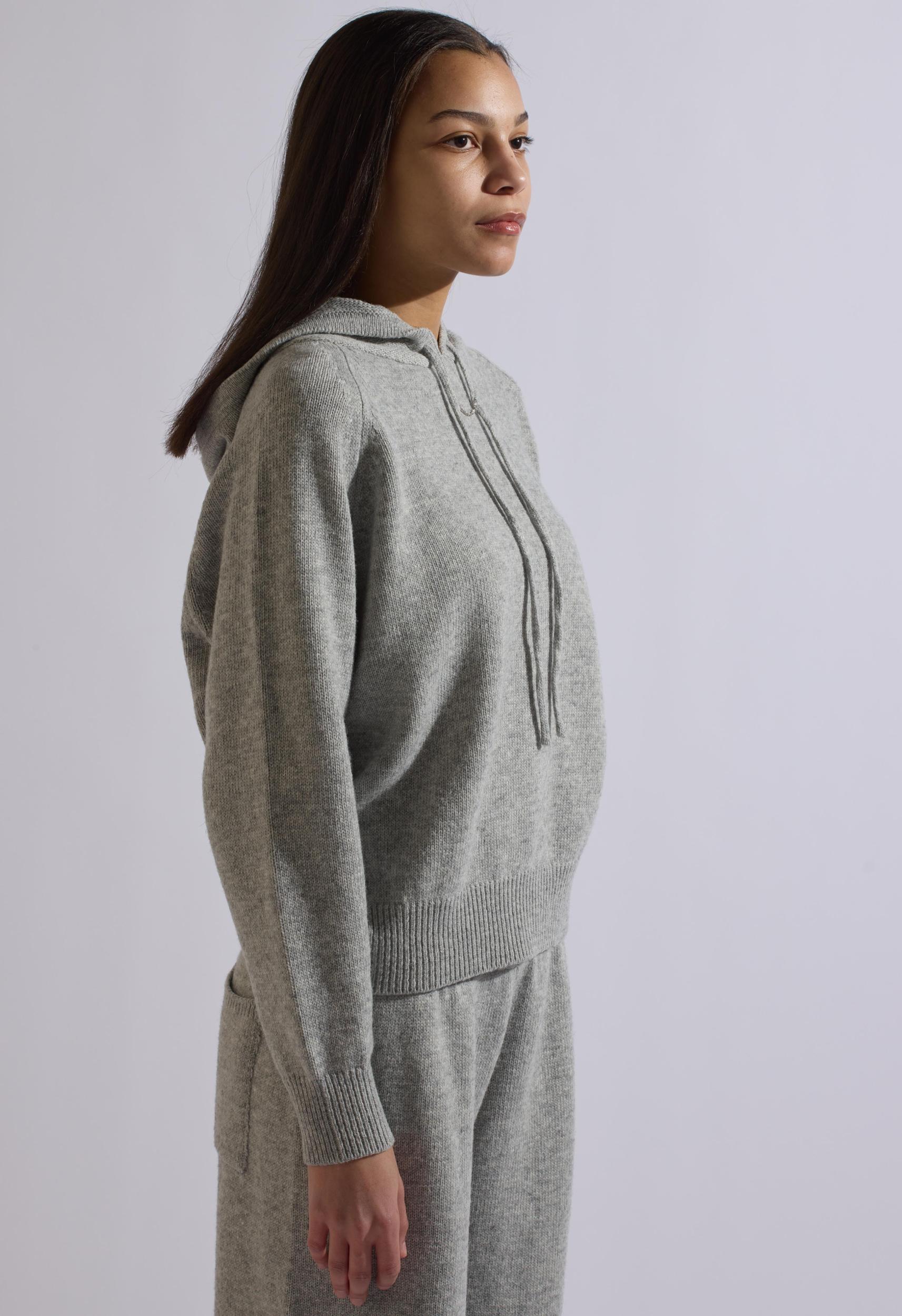 Fox Gray Wool Set Hoodie Product Image
