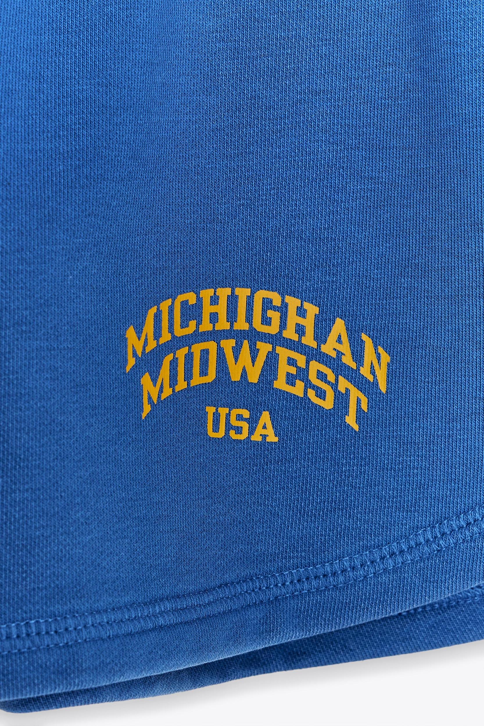 WASHED EFFECT TEXT SHORTS Product Image