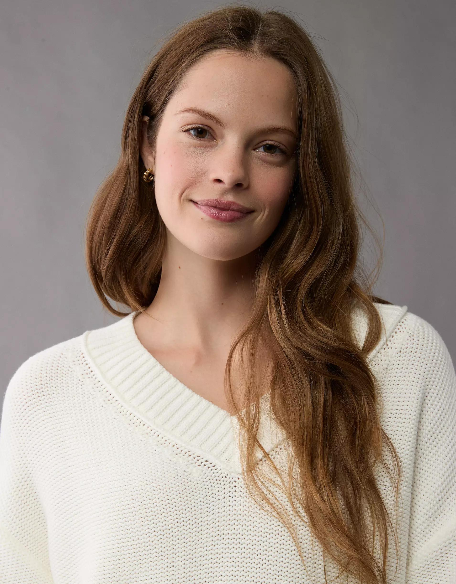 AE Long Weekend V-Neck Sweater Product Image