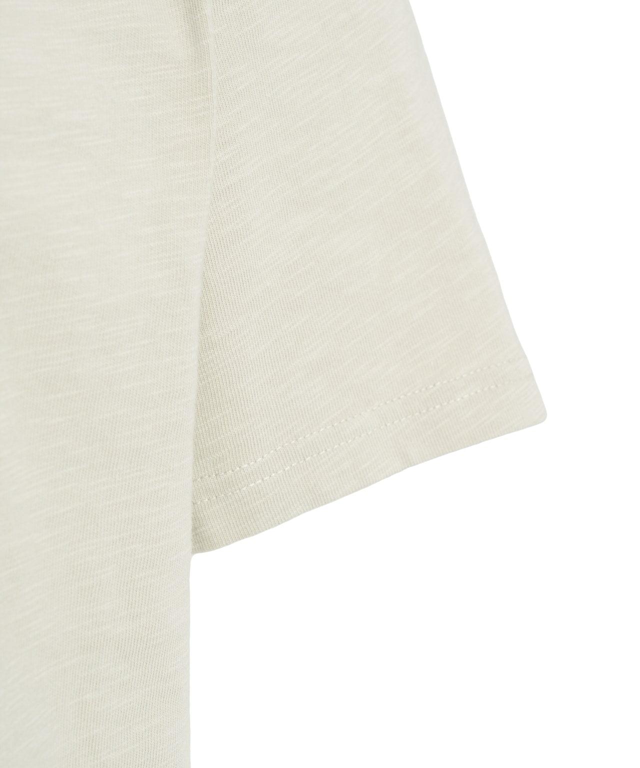 Organic cotton T-shirt Product Image