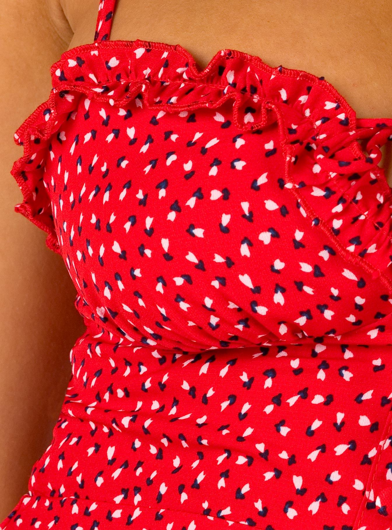 Love Birds Mini Dress Red Product Image