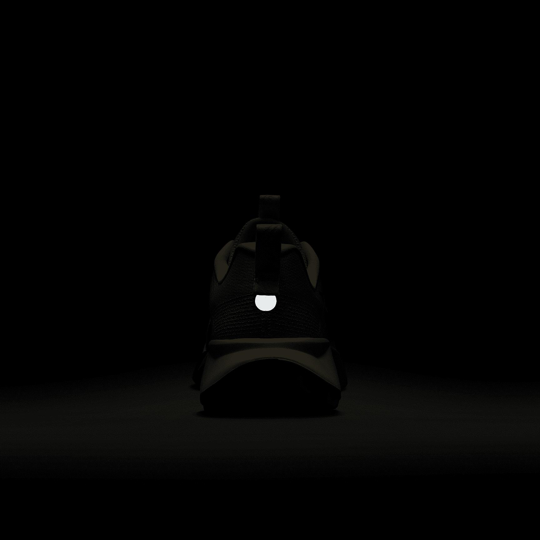 Nike Mens Wildhorse 10 Trail Running Shoes | FV2338-700 Product Image