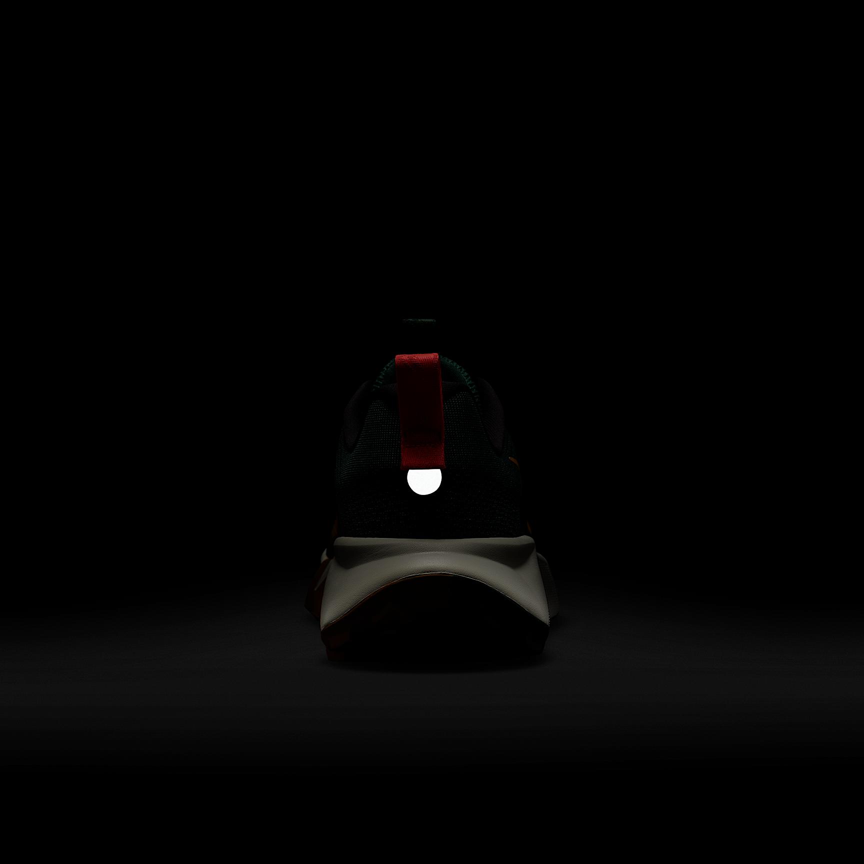 Nike Mens Wildhorse 10 Trail Running Shoes | FV2338-005 Product Image