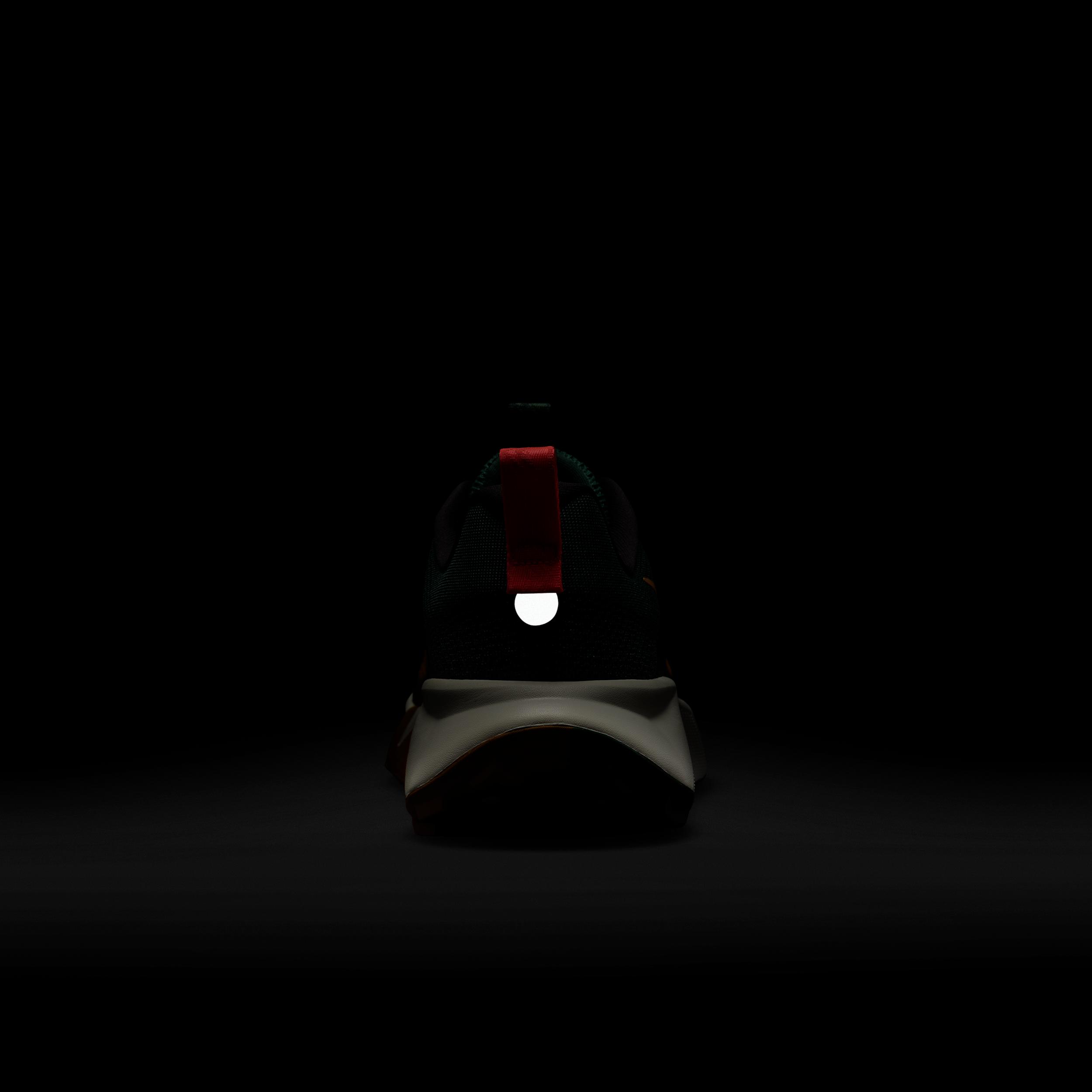 Nike Mens Wildhorse 10 Trail Running Shoes | FV2338-005 Product Image