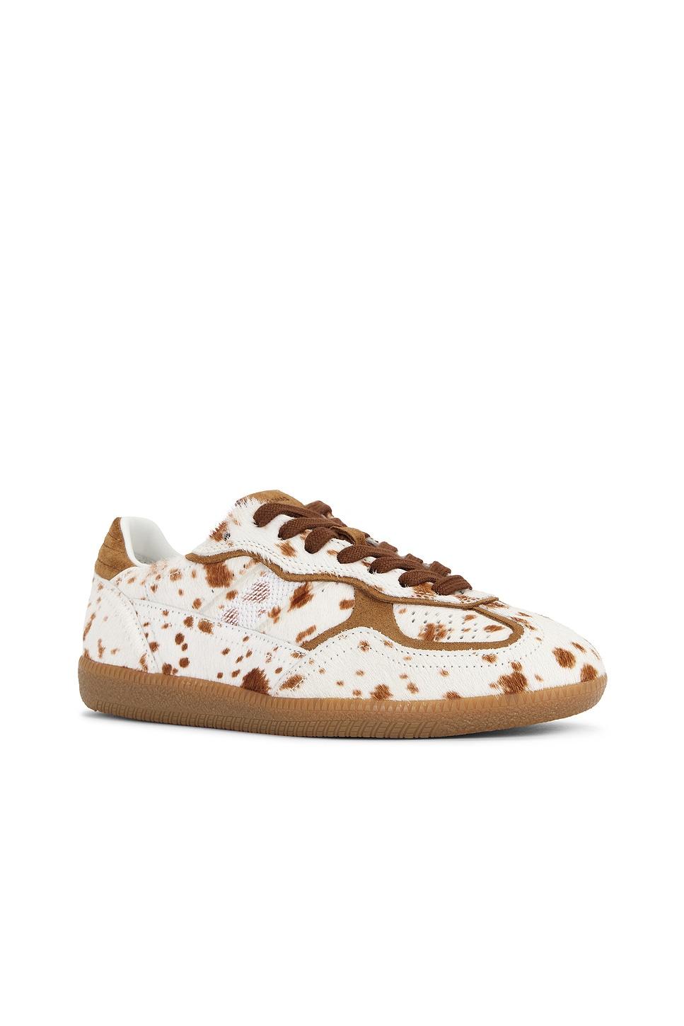 Tb.490 Rife Sneaker ALOHAS Product Image