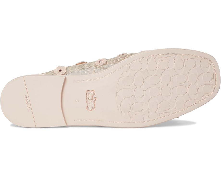 MSRP: $175(40% OFF) Product Image