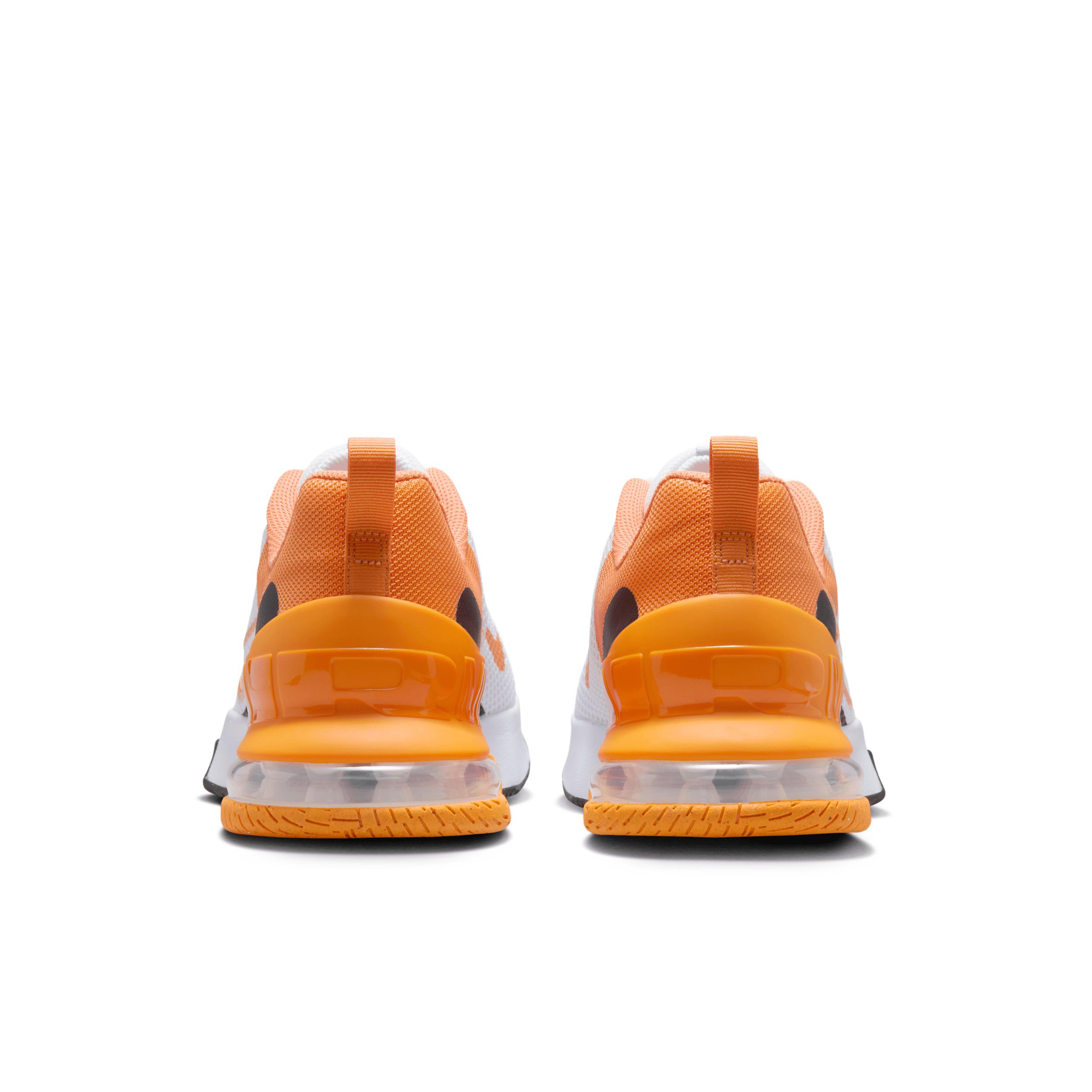 Nike Mens Air Max Alpha Trainer 6 Workout Shoes | FQ1833-600 Product Image