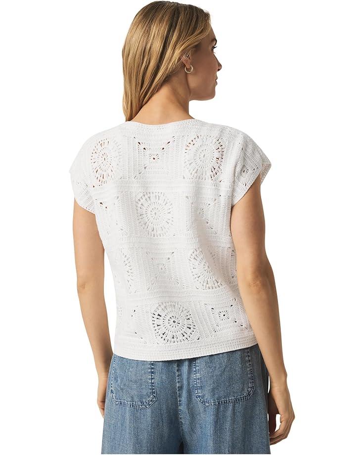 Alva Knit Product Image