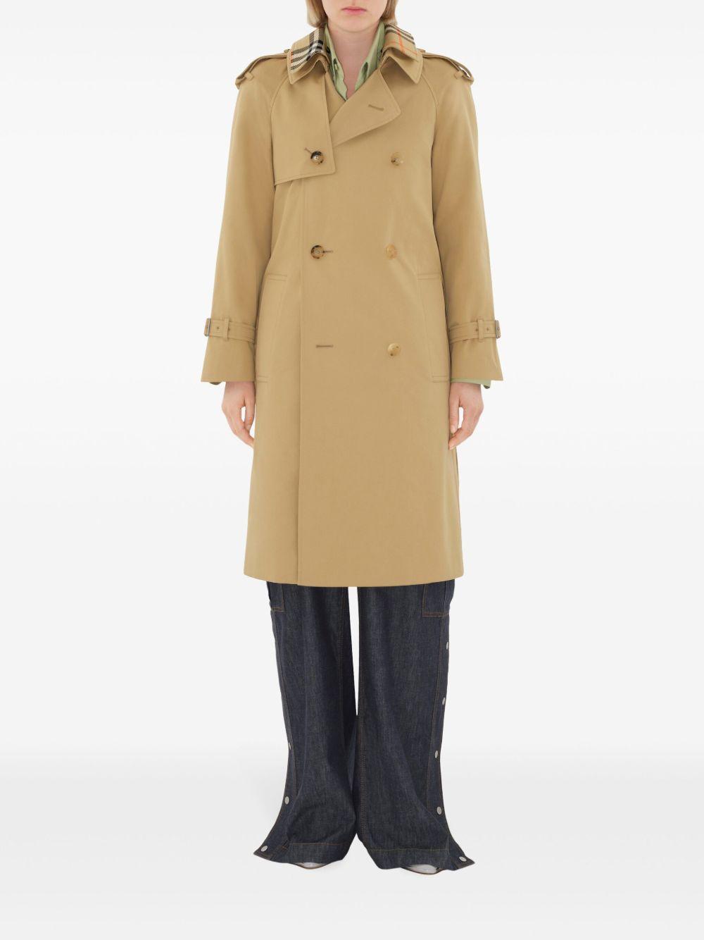 notched-lapel cotton trench coat  Product Image